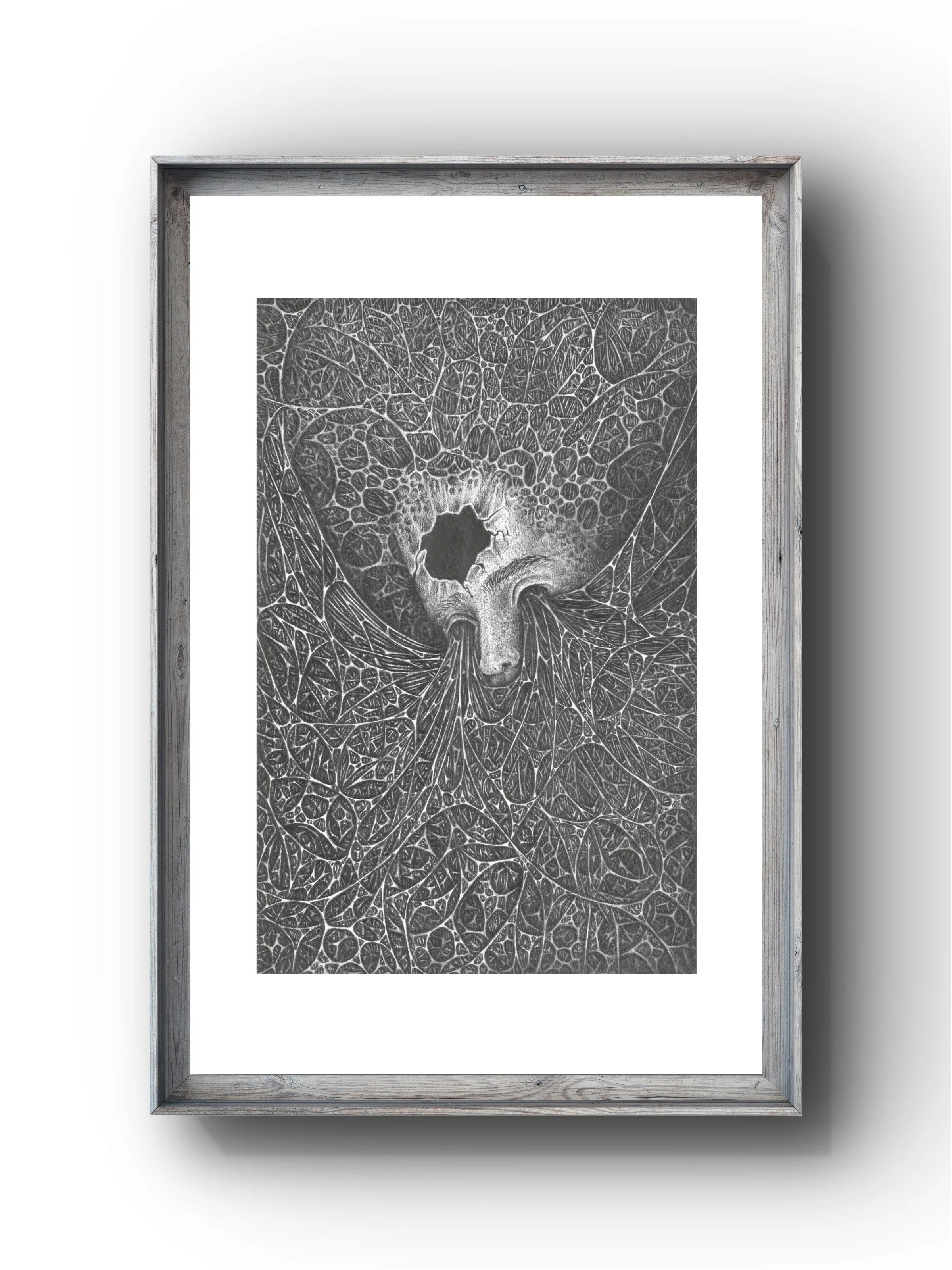 "Web" (SOLD) - Original