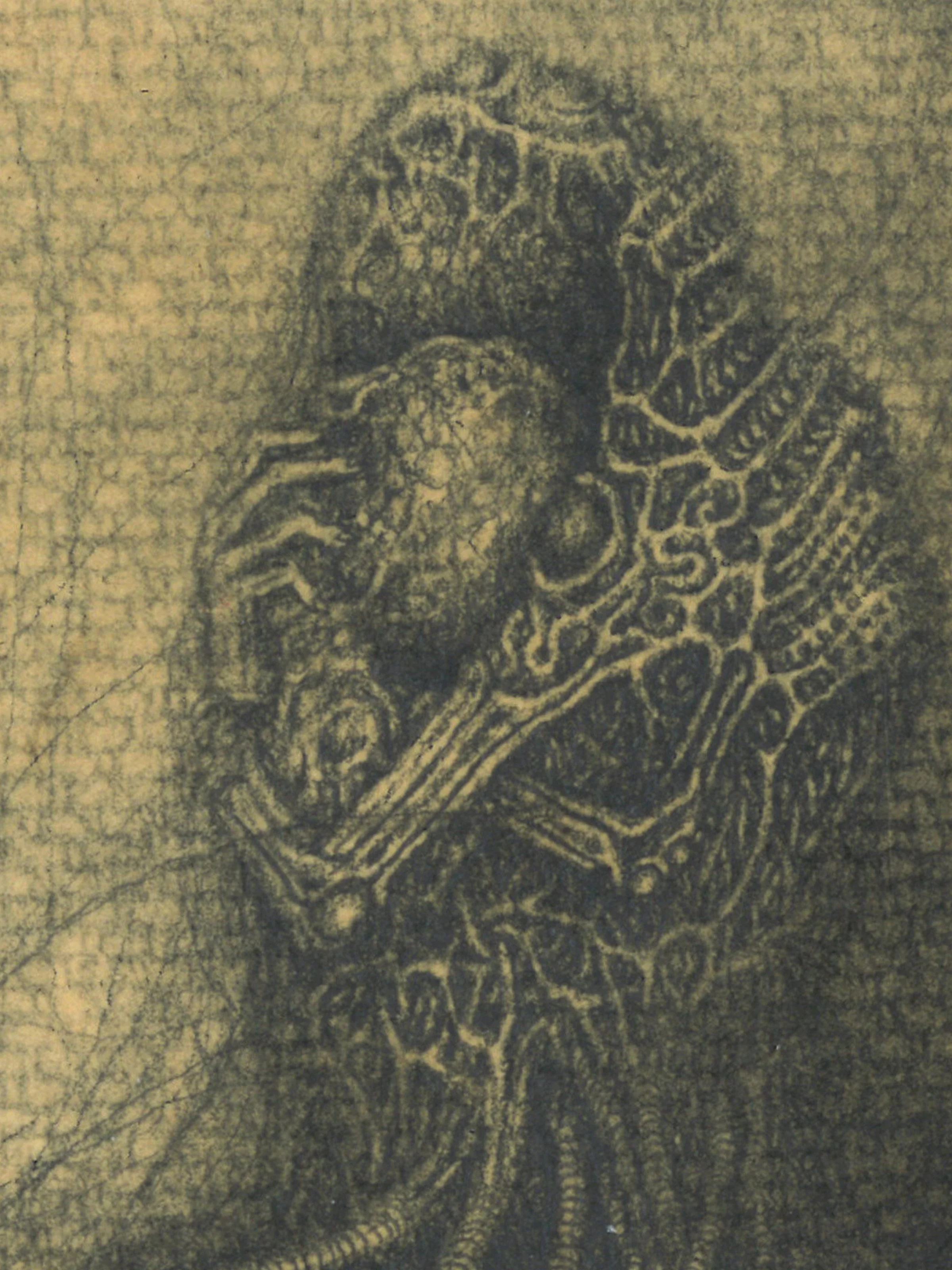 Eternity.gwendlyn bell detail 1.jpg