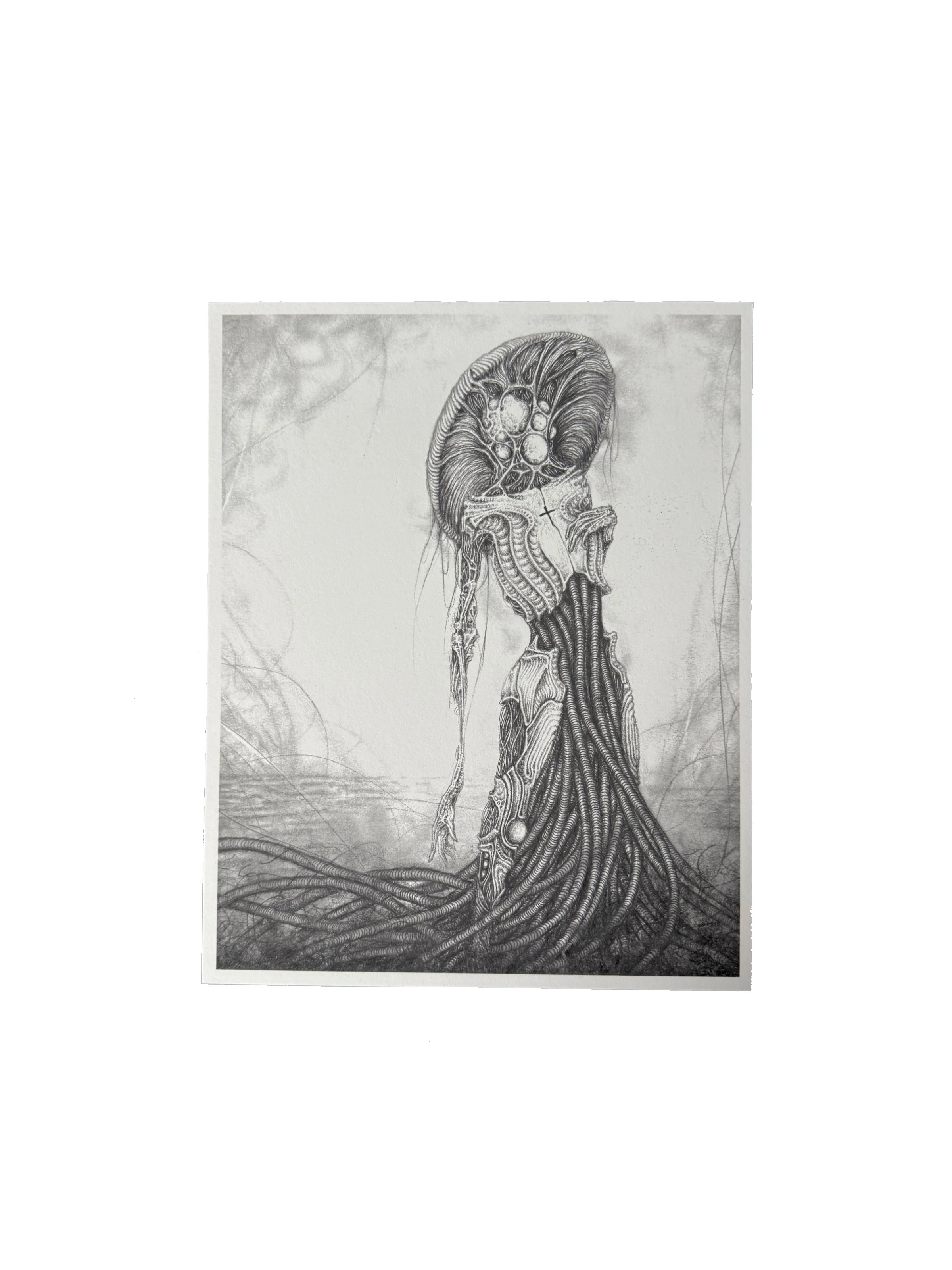 pact shield gwendlyn bell artwork print.jpg