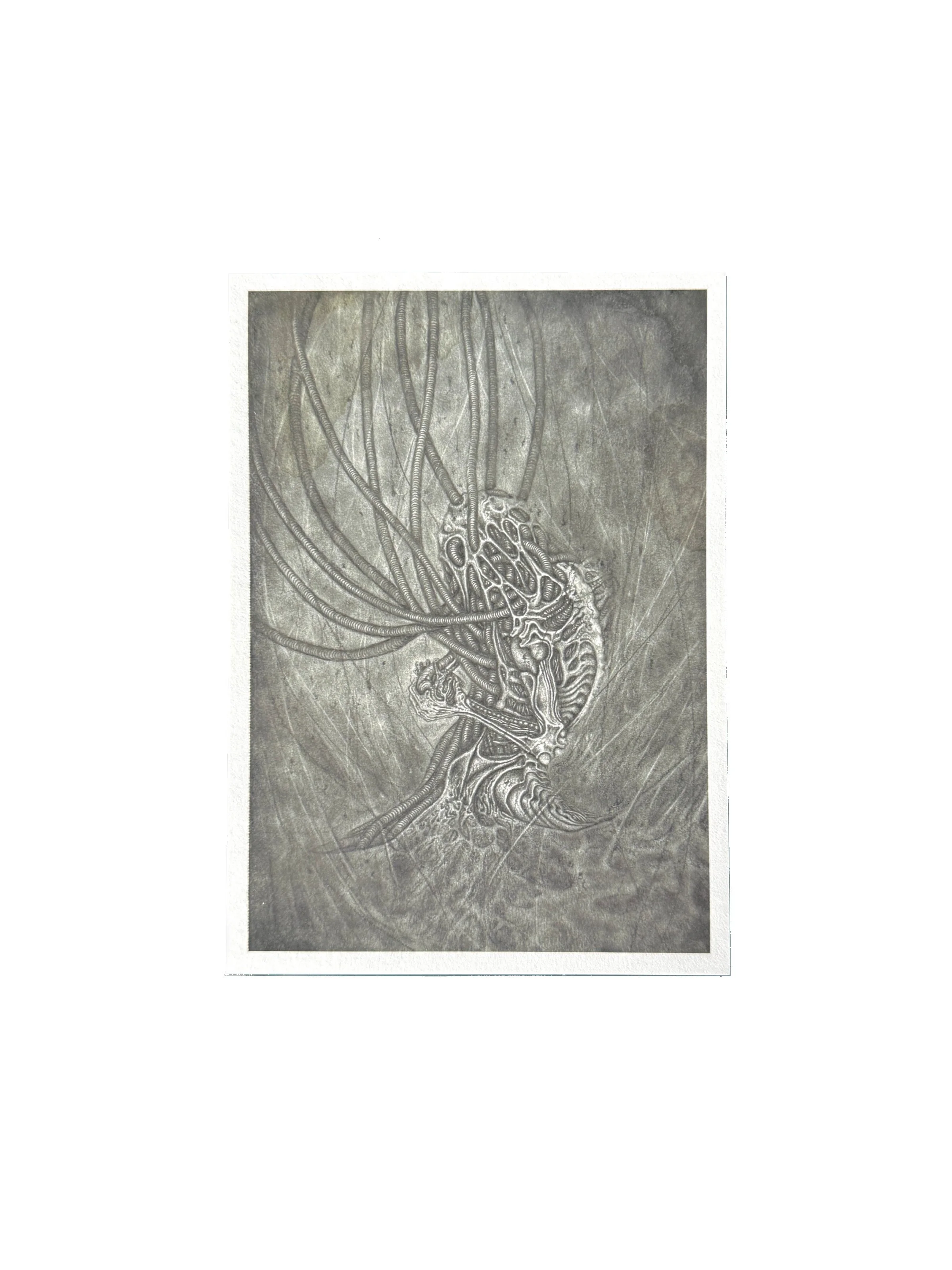 tbtu gwendlyn bell artwork small print.jpg