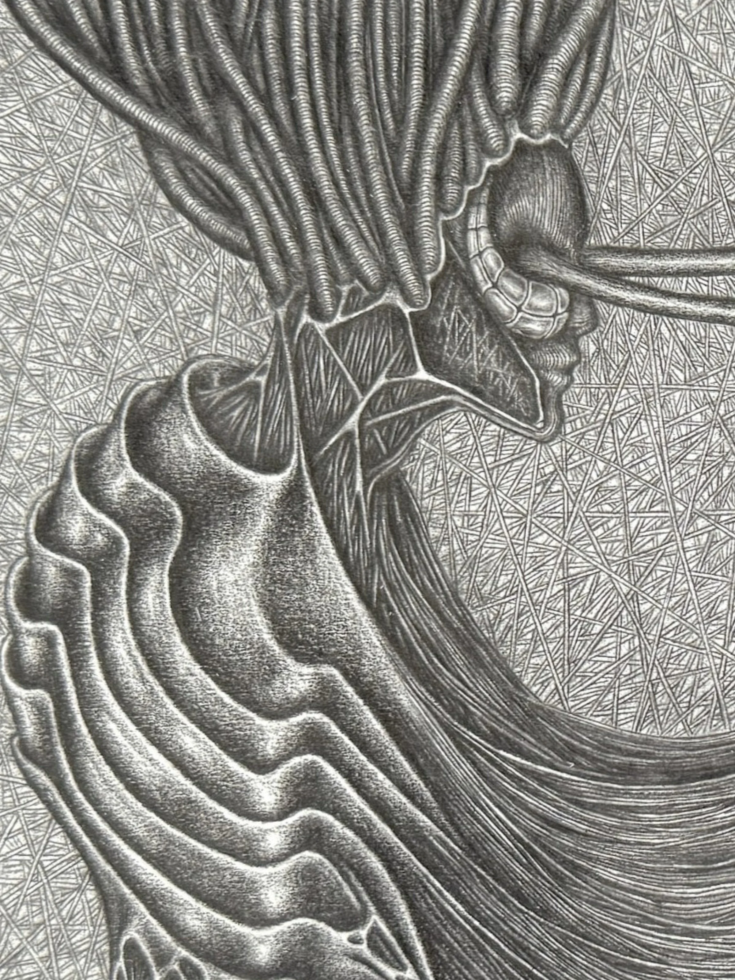 reflection print detail 2..jpg