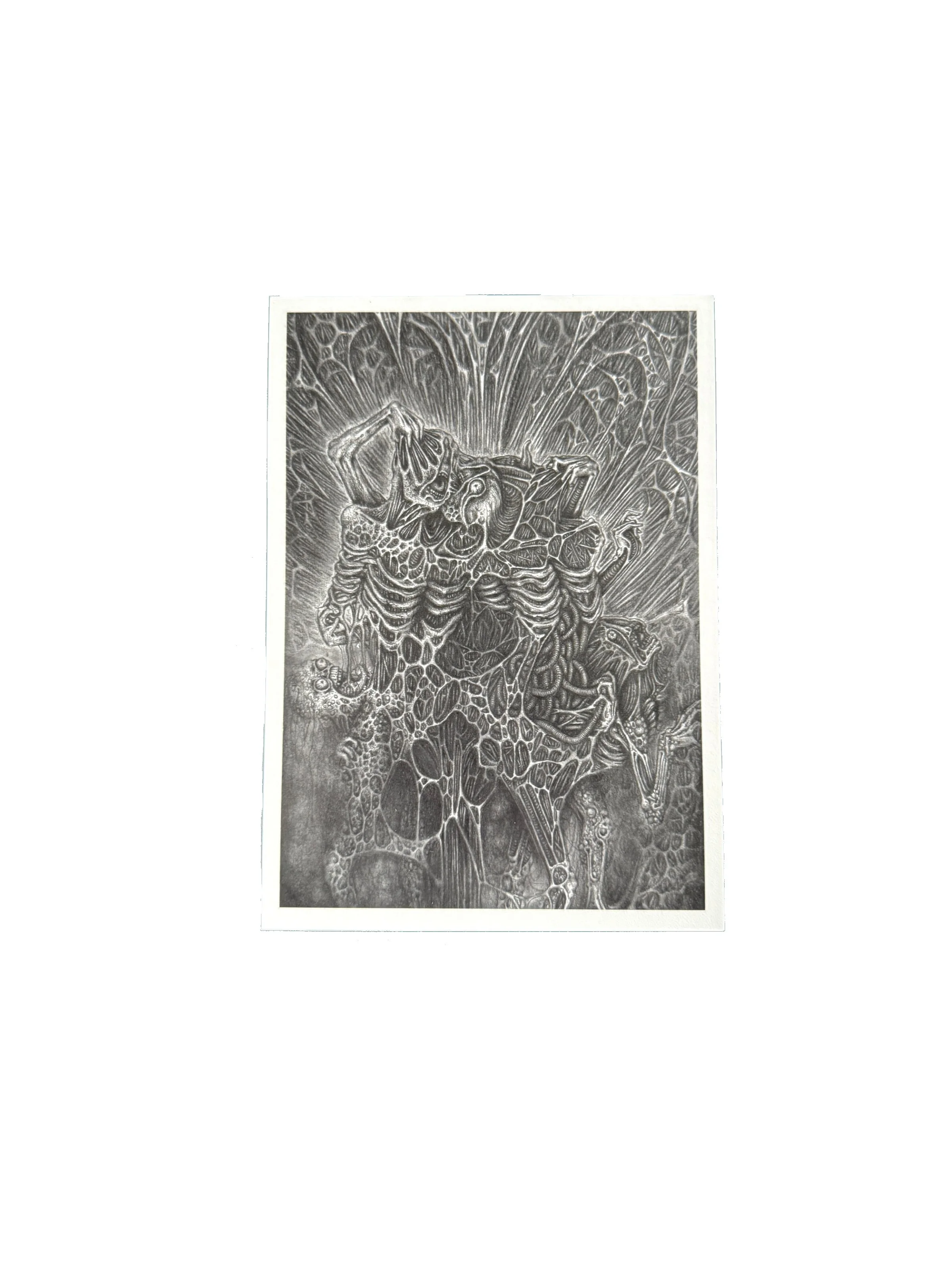 spotlight gwendlyn bell artwork small print.jpg