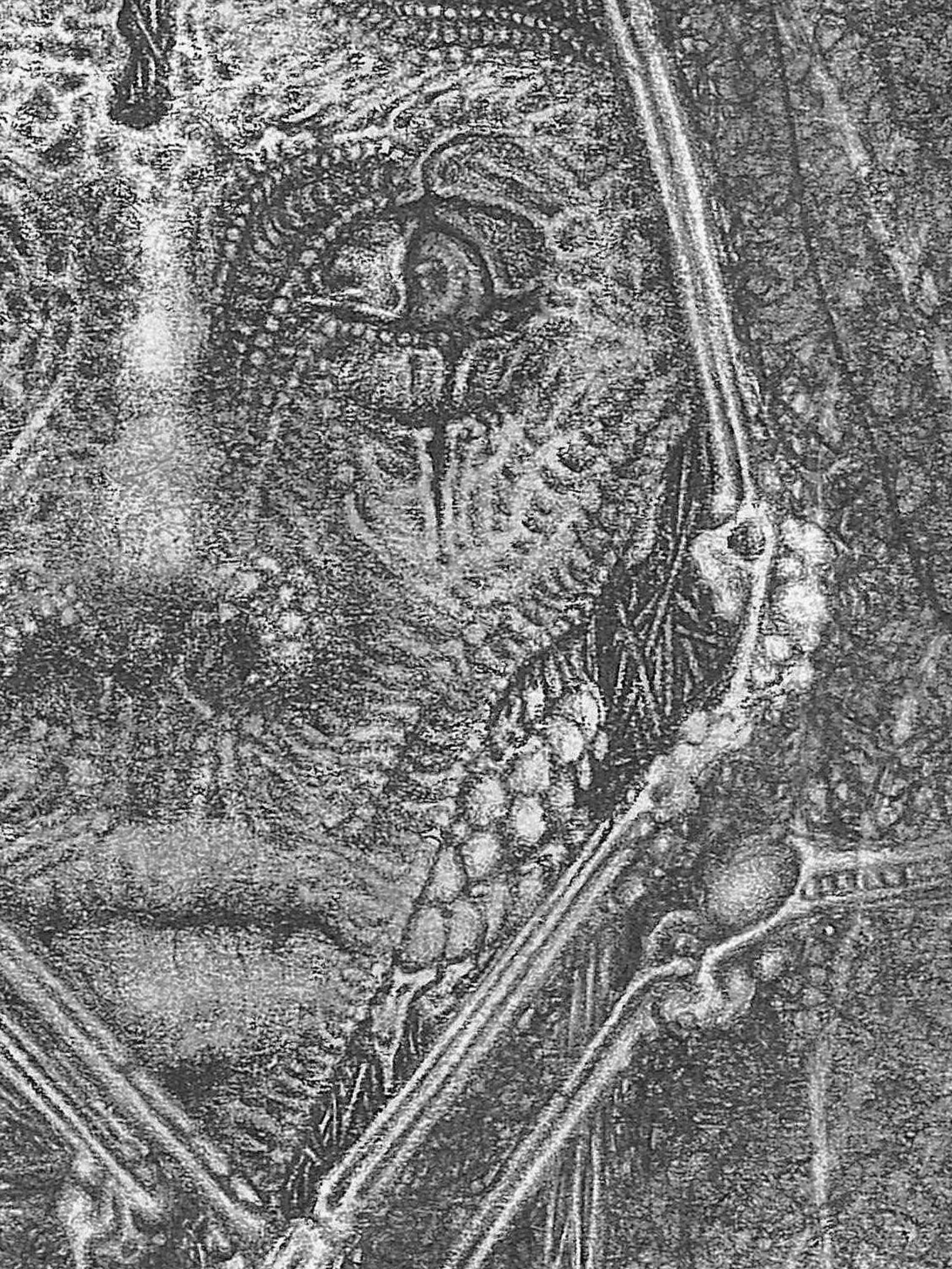 guarded gwendlyn bell artwork print detail 1.jpg