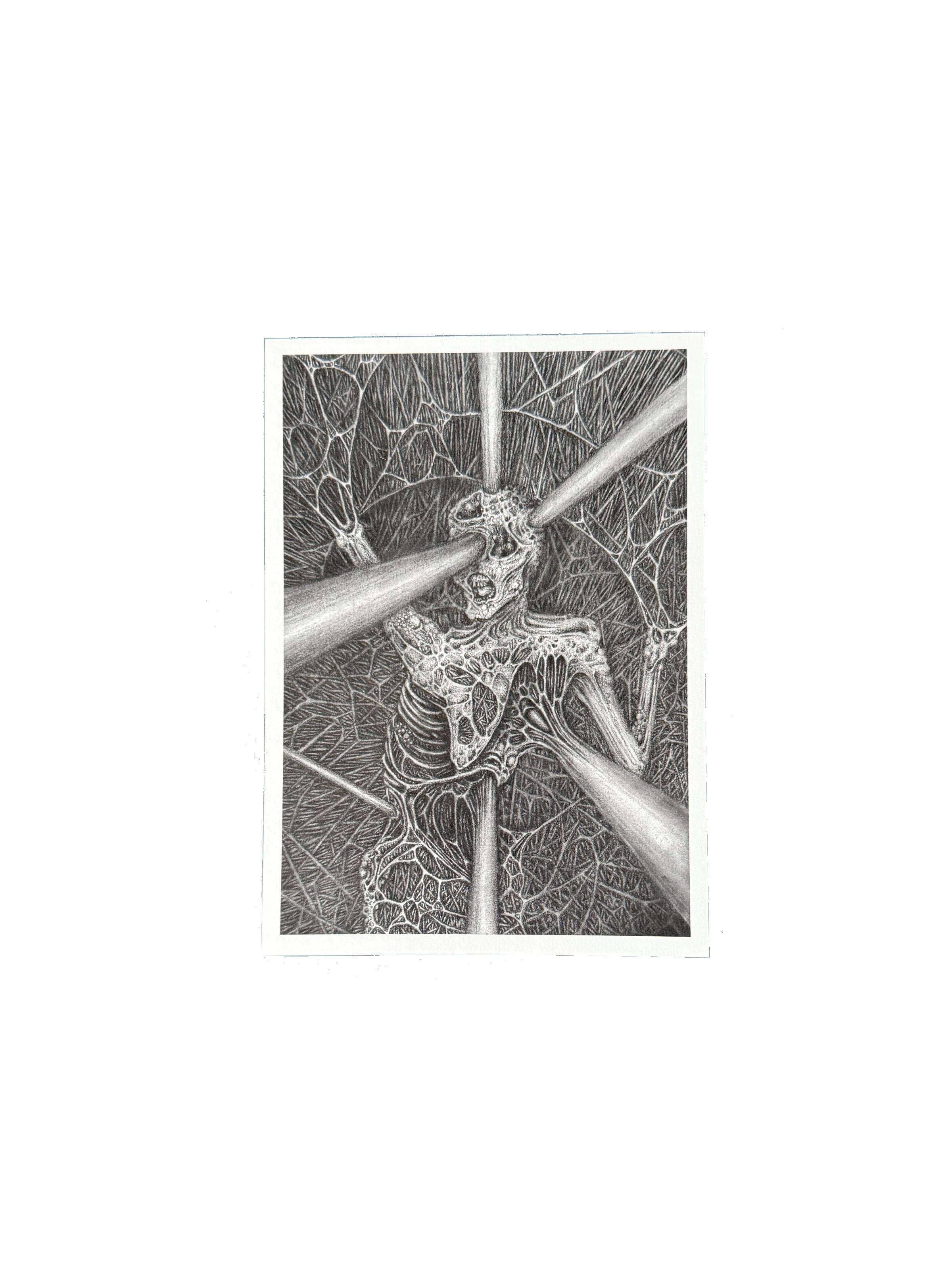 strain gwendlyn bell artwork small print.jpg