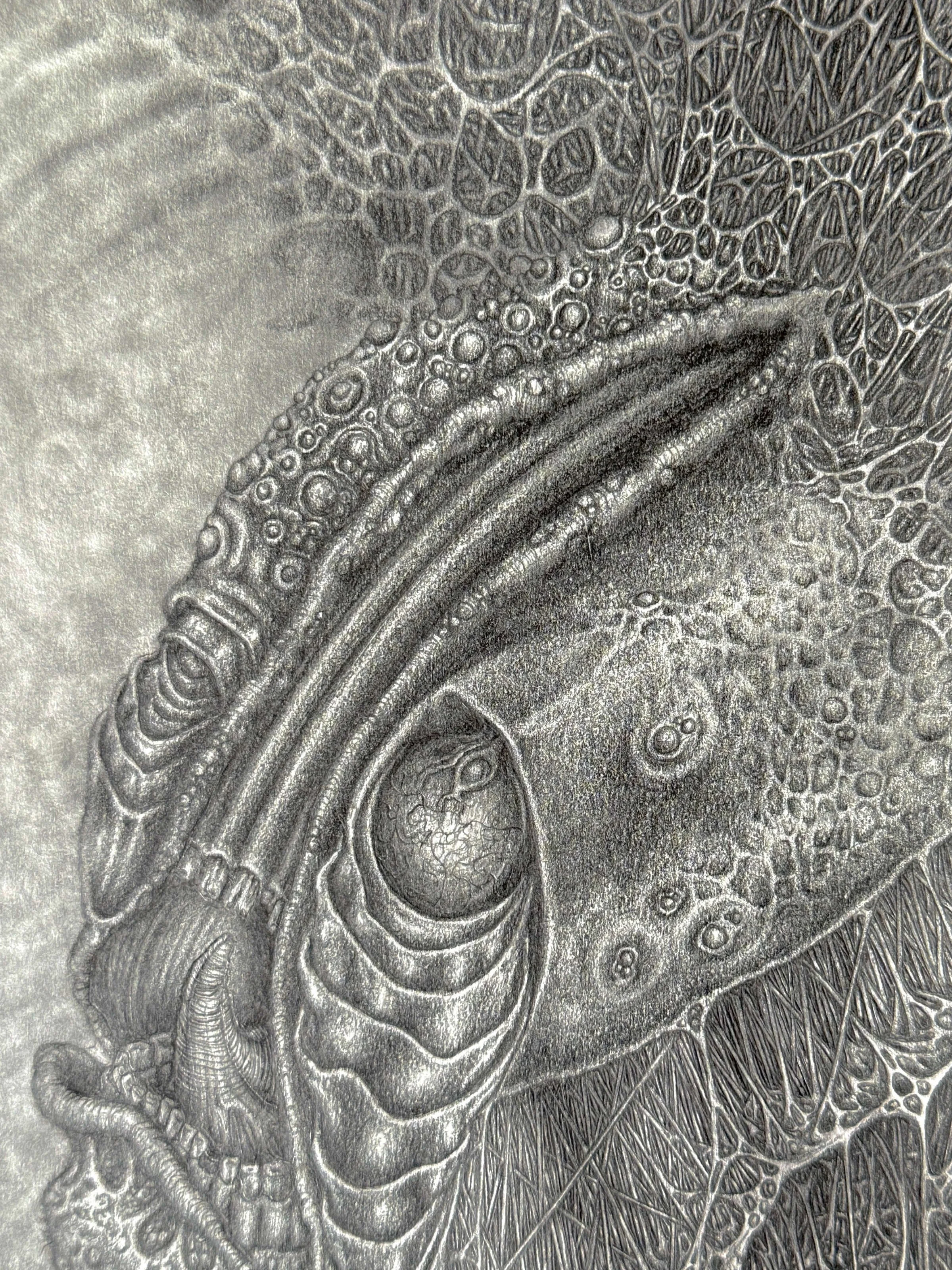 cope original gwendlyn bell detail 1.jpg