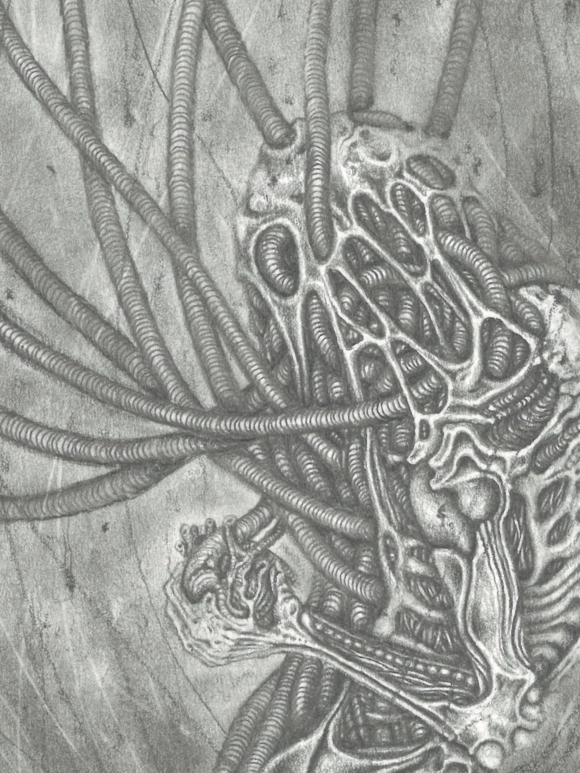 tbtu gwendlyn bell artwork detail 1.jpg