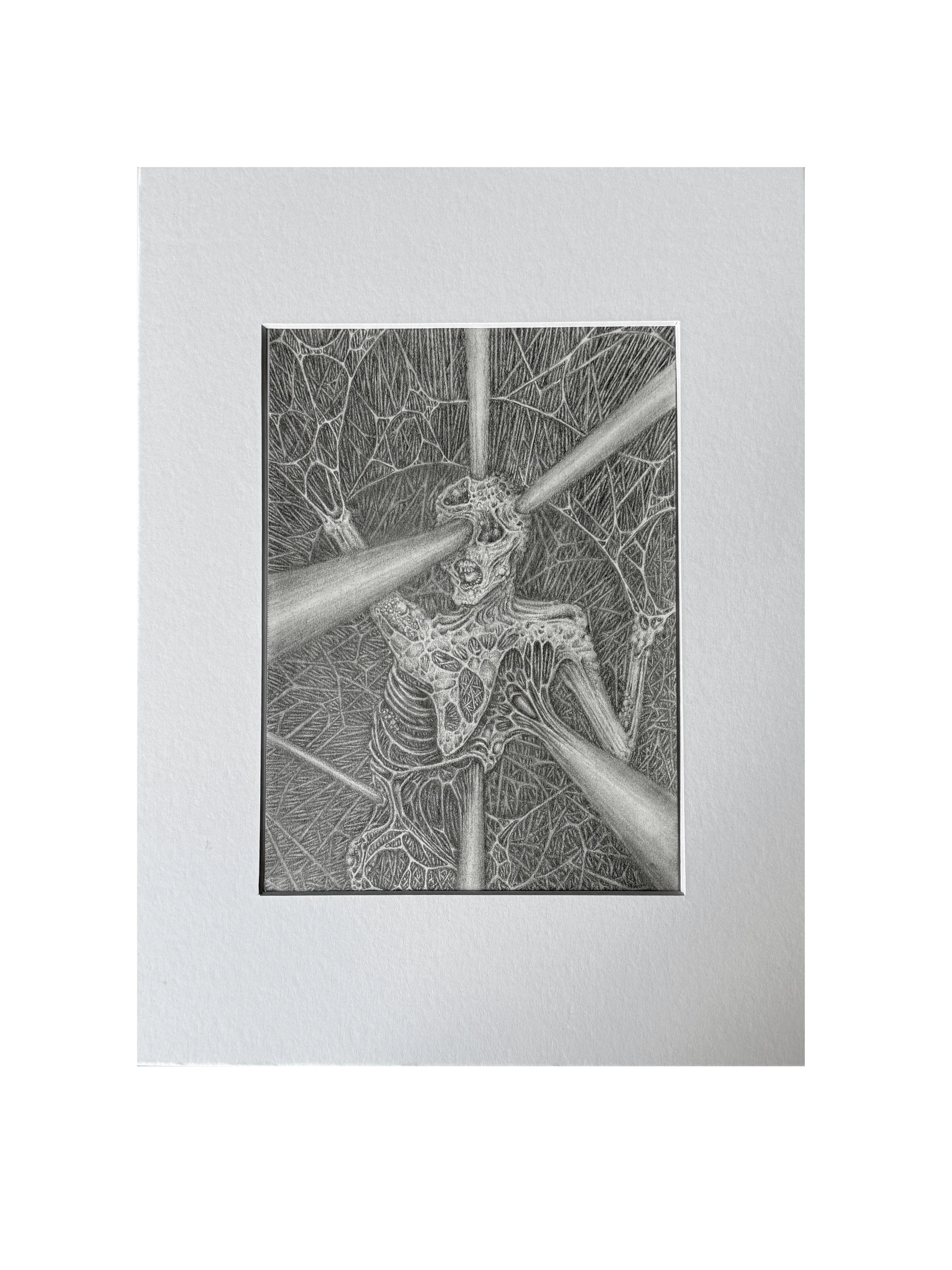 strain original gwendlyn bell frame.jpg