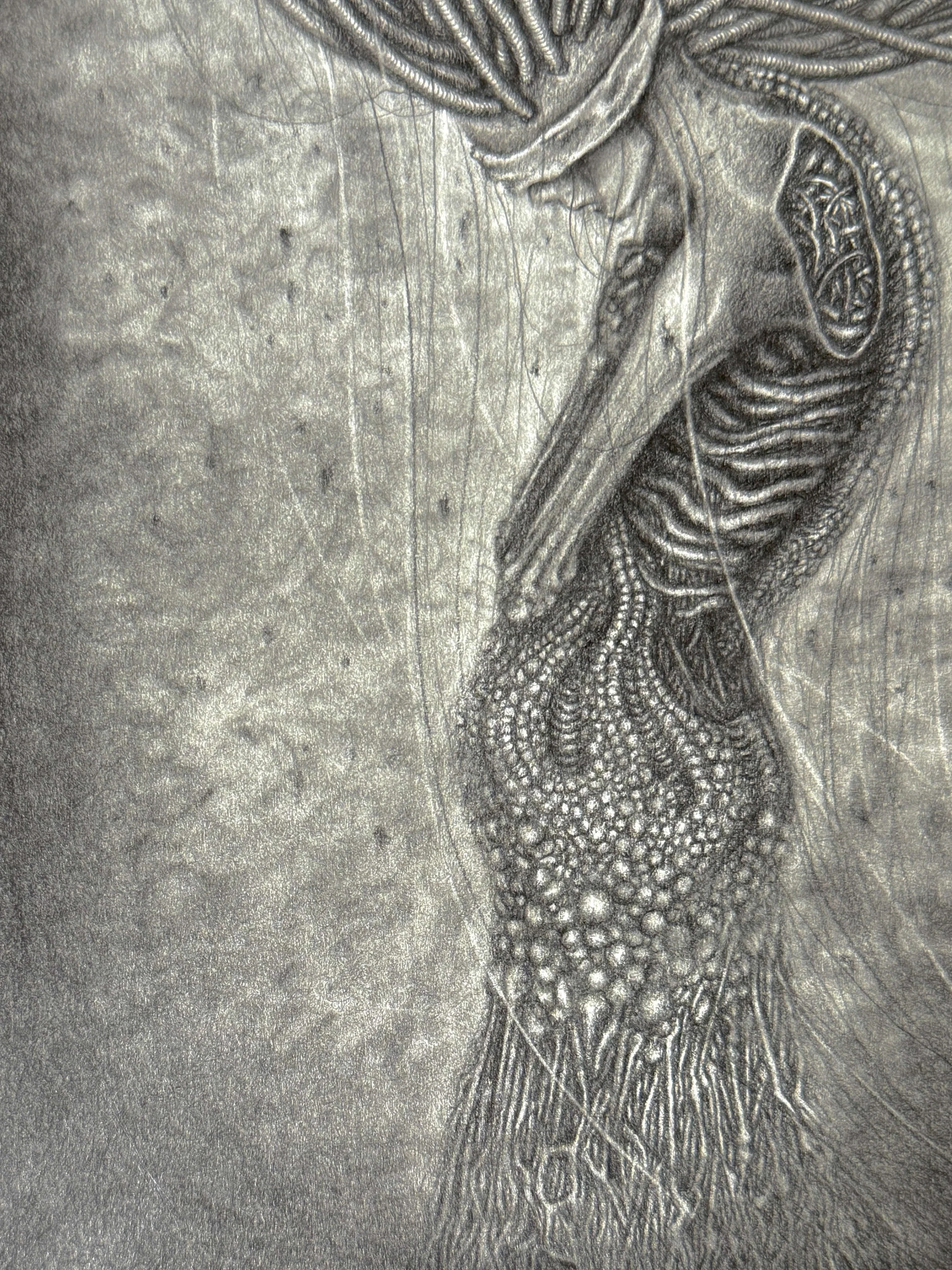 forward gwendlyn bell original detail 2.jpg