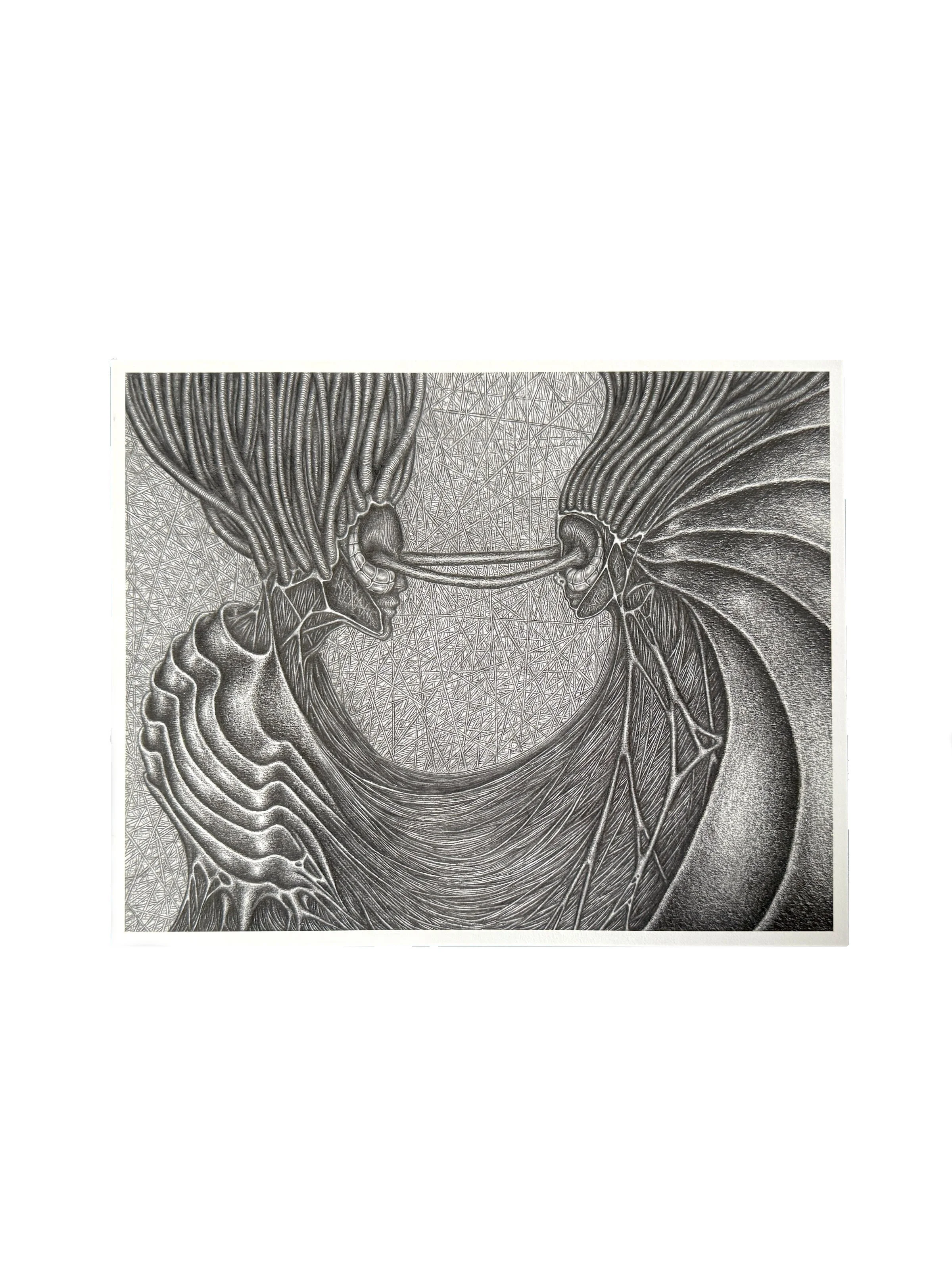 reflection gwendlyn bell print.jpg