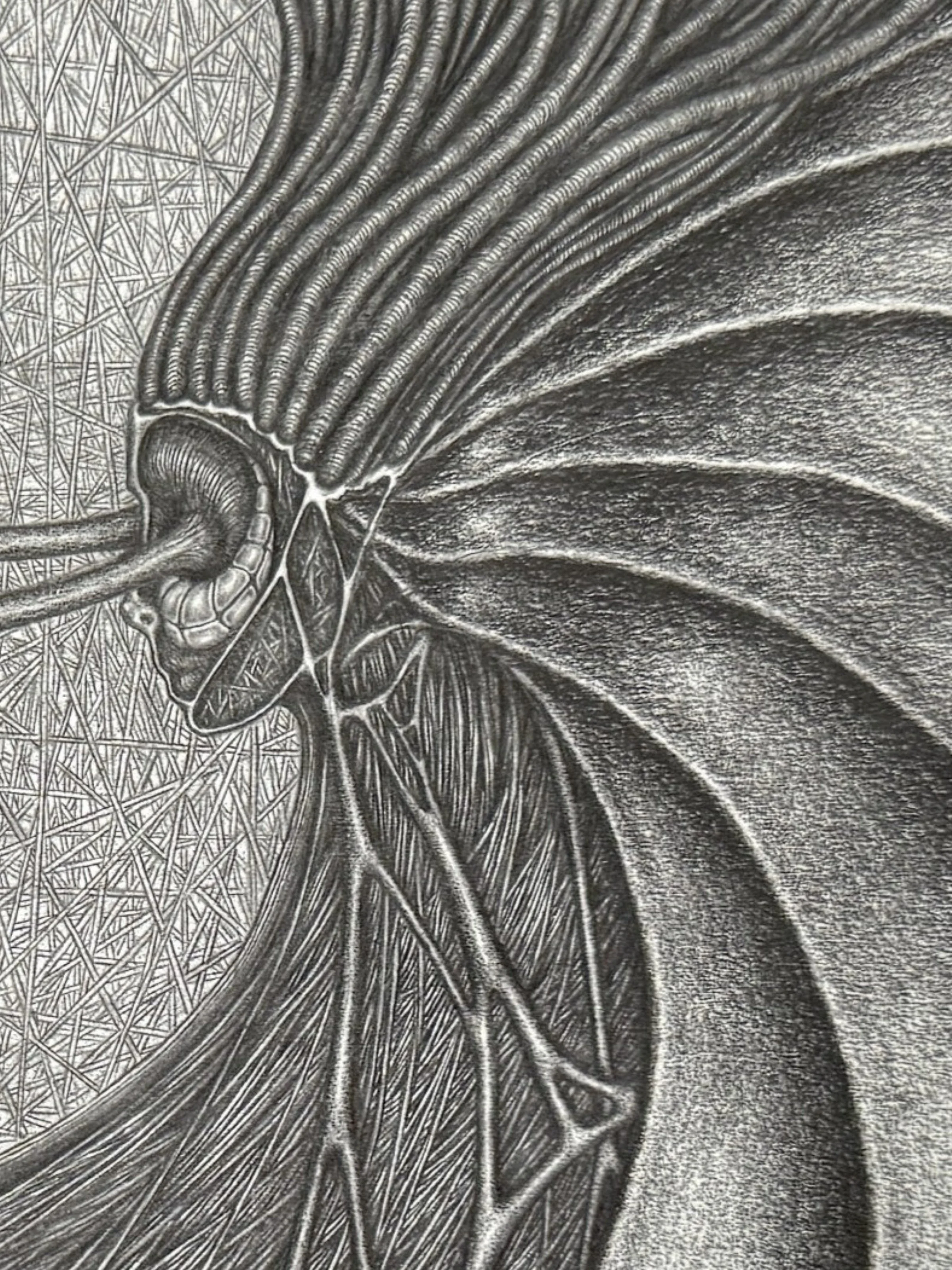 reflection print detail 1..jpg