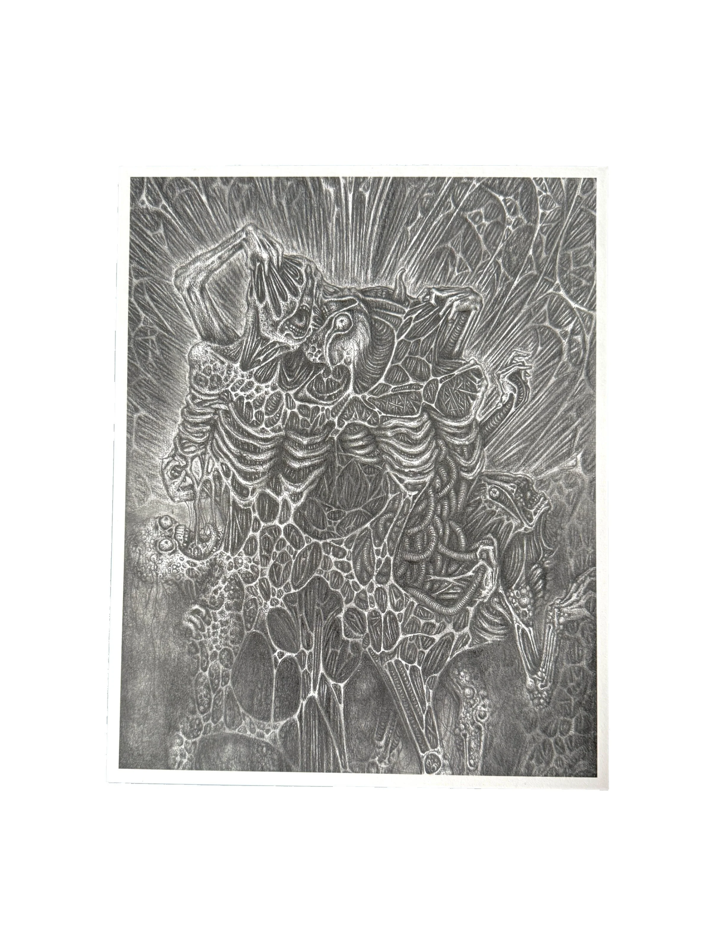 spotlight gwendlyn bell artwork medium print.jpg