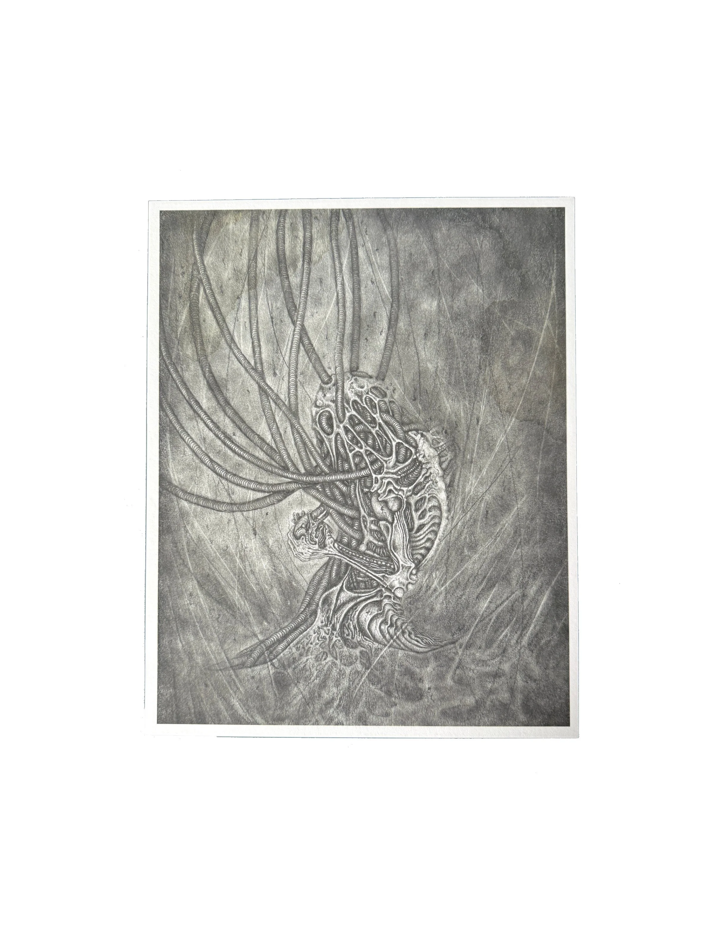 tbtu gwendlyn bell artwork medium print.jpg