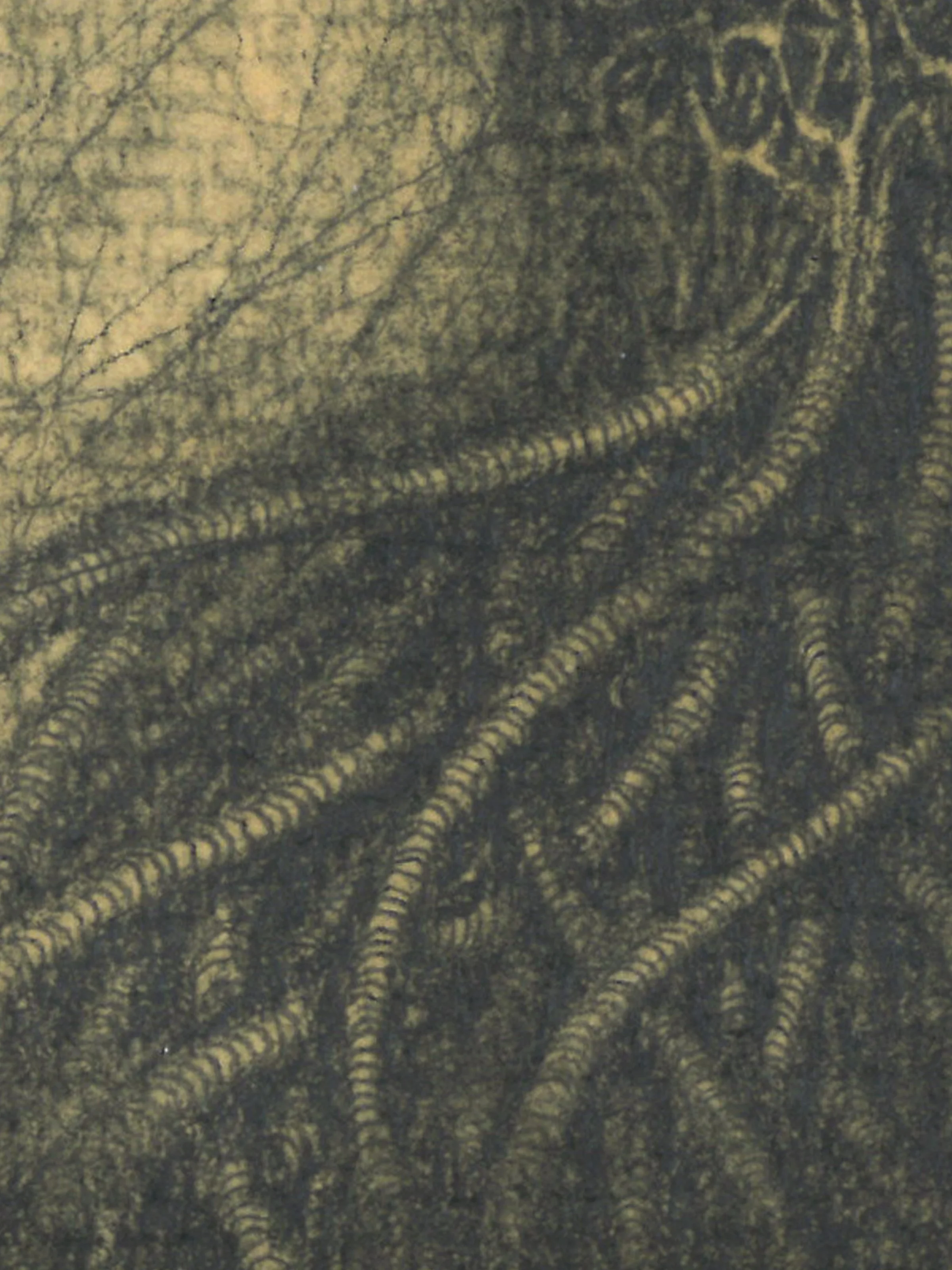 Eternity.gwendlyn bell detail 2.jpg