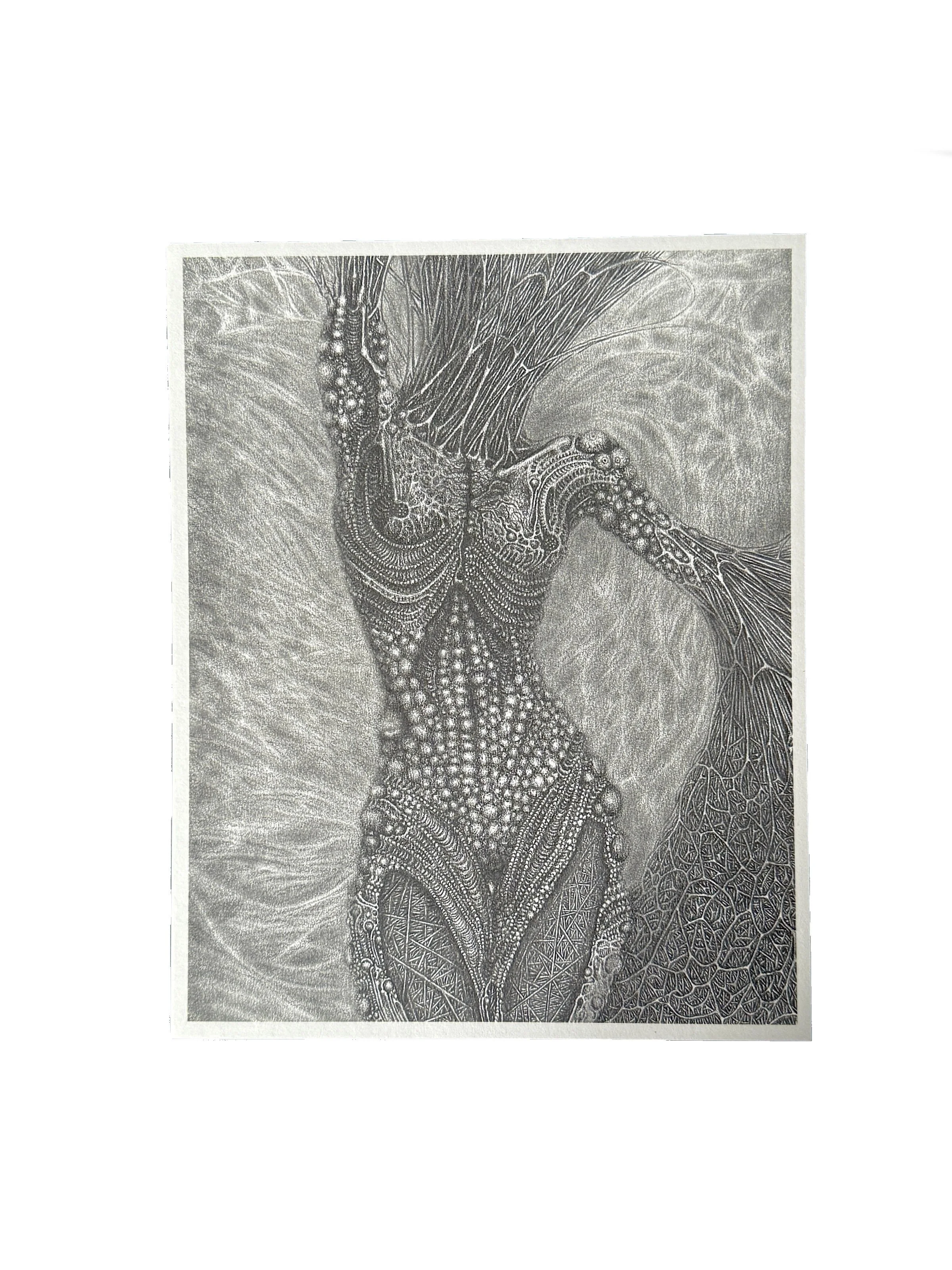 osna gwendlyn bell artwork just print.jpg