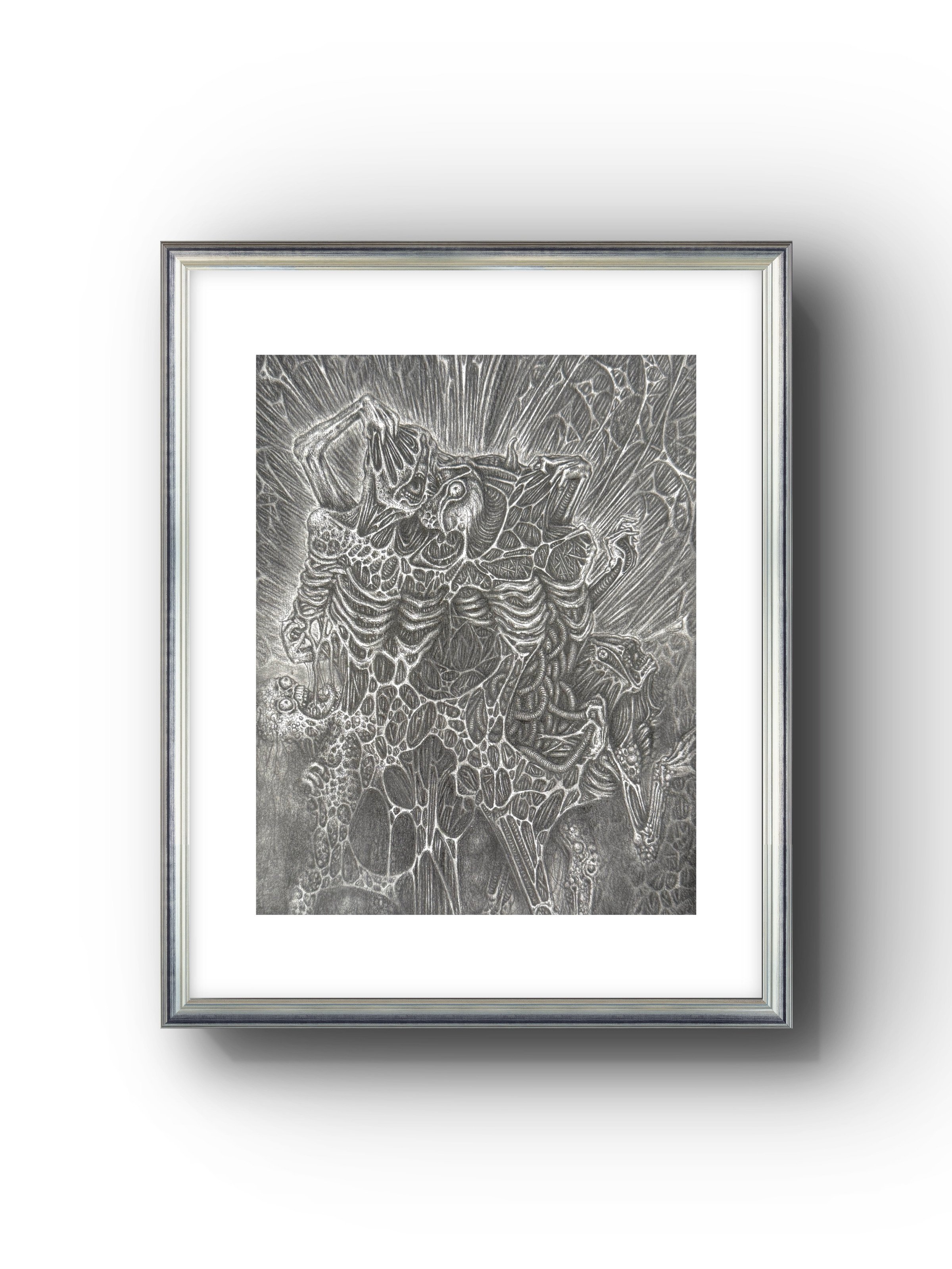 Spotlight ~ Fine Art Print
