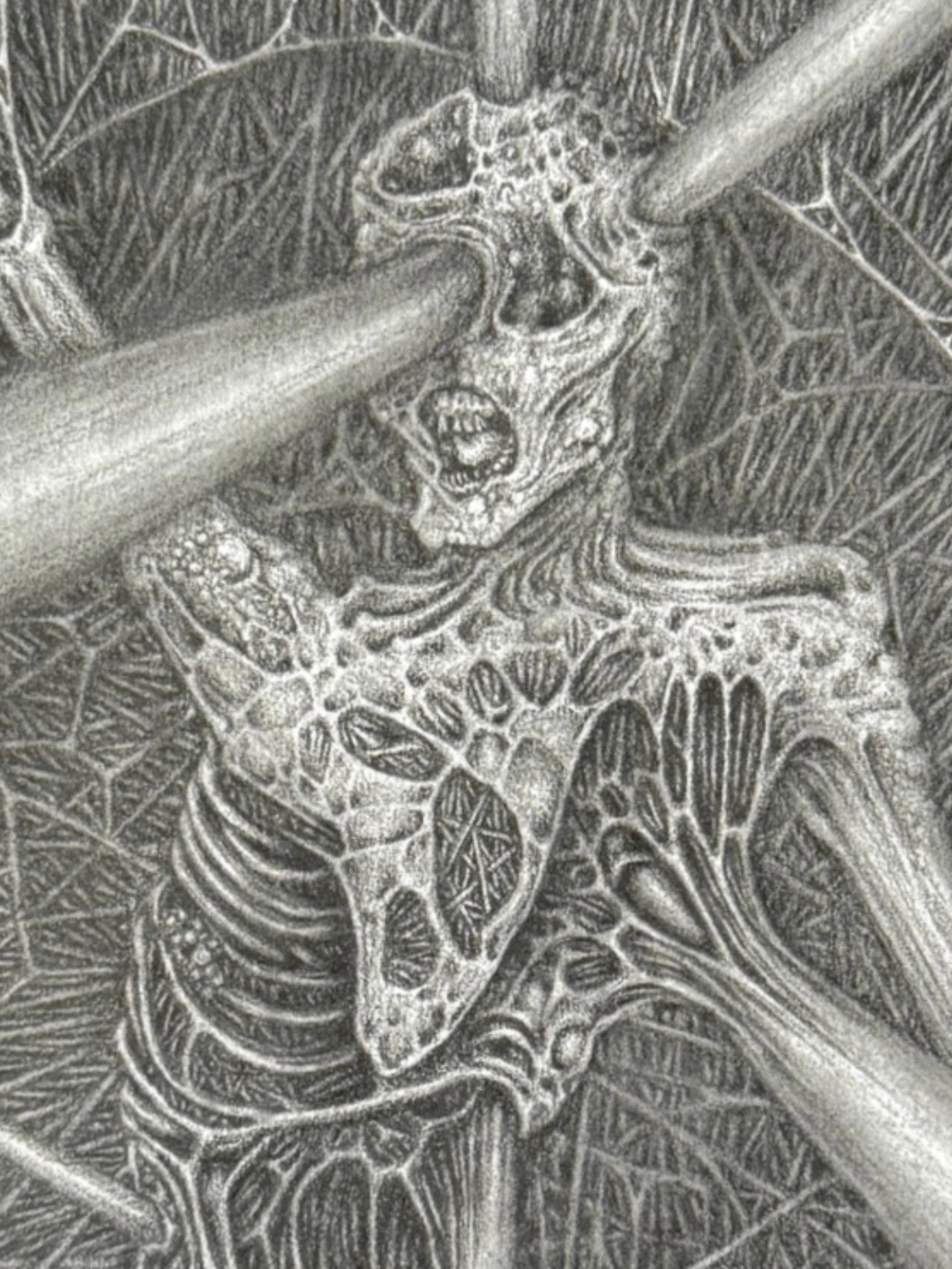 strain print detail 1..jpg