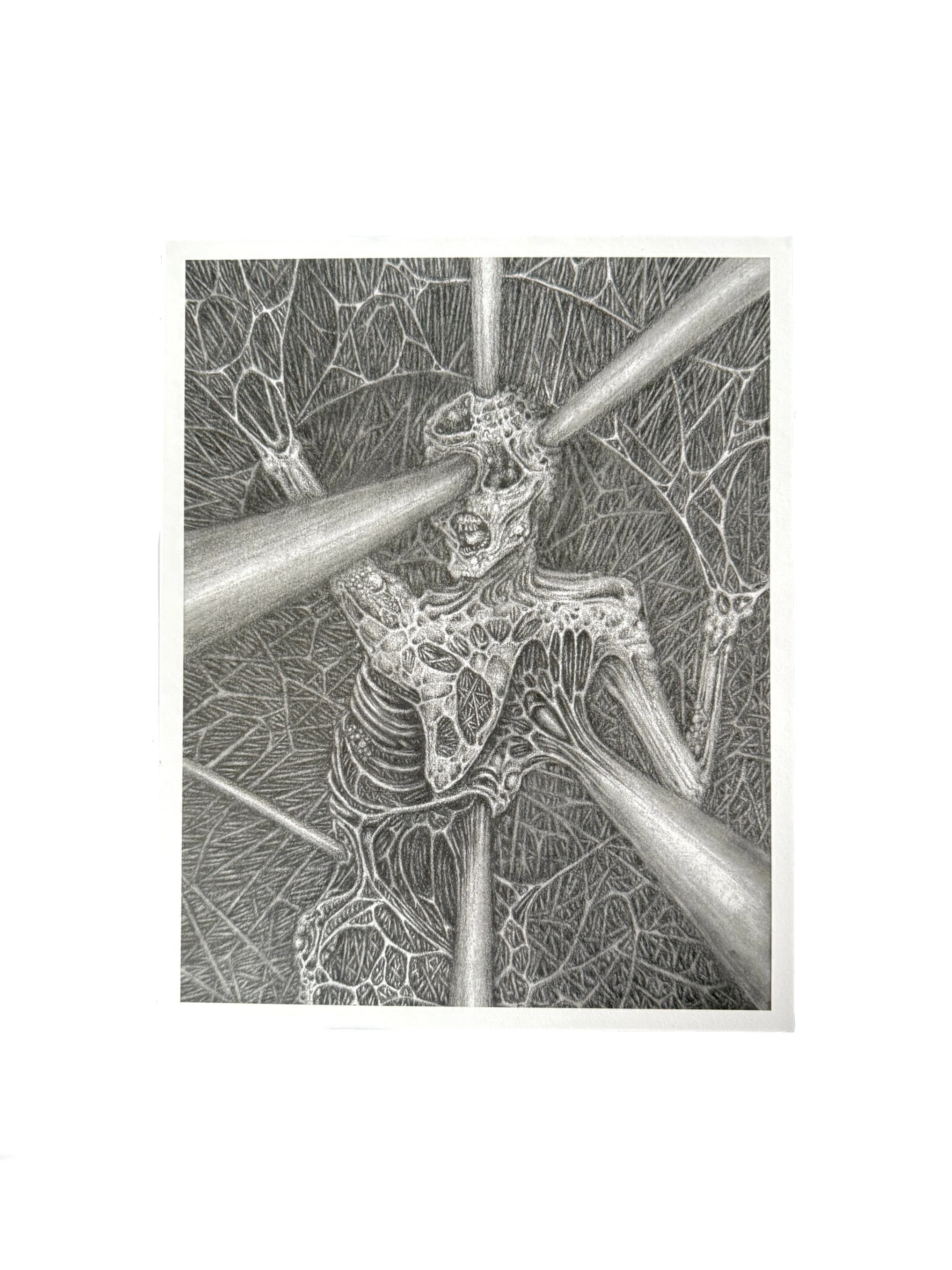 strain gwendlyn bell artwork medium print.jpg
