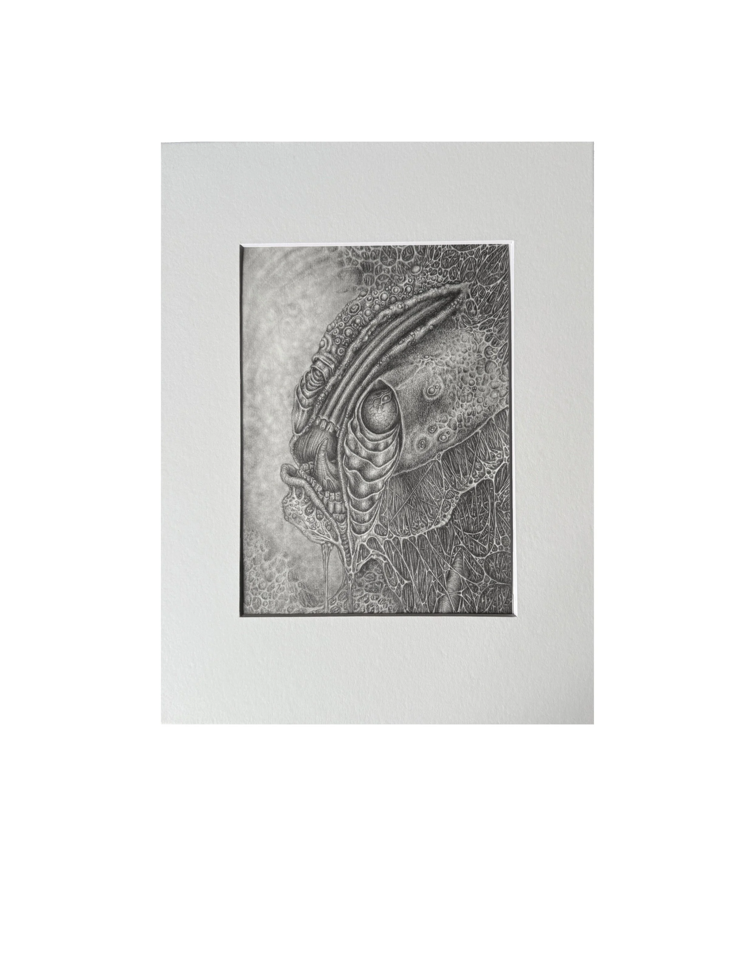 cope original gwendlyn bell framed.jpg
