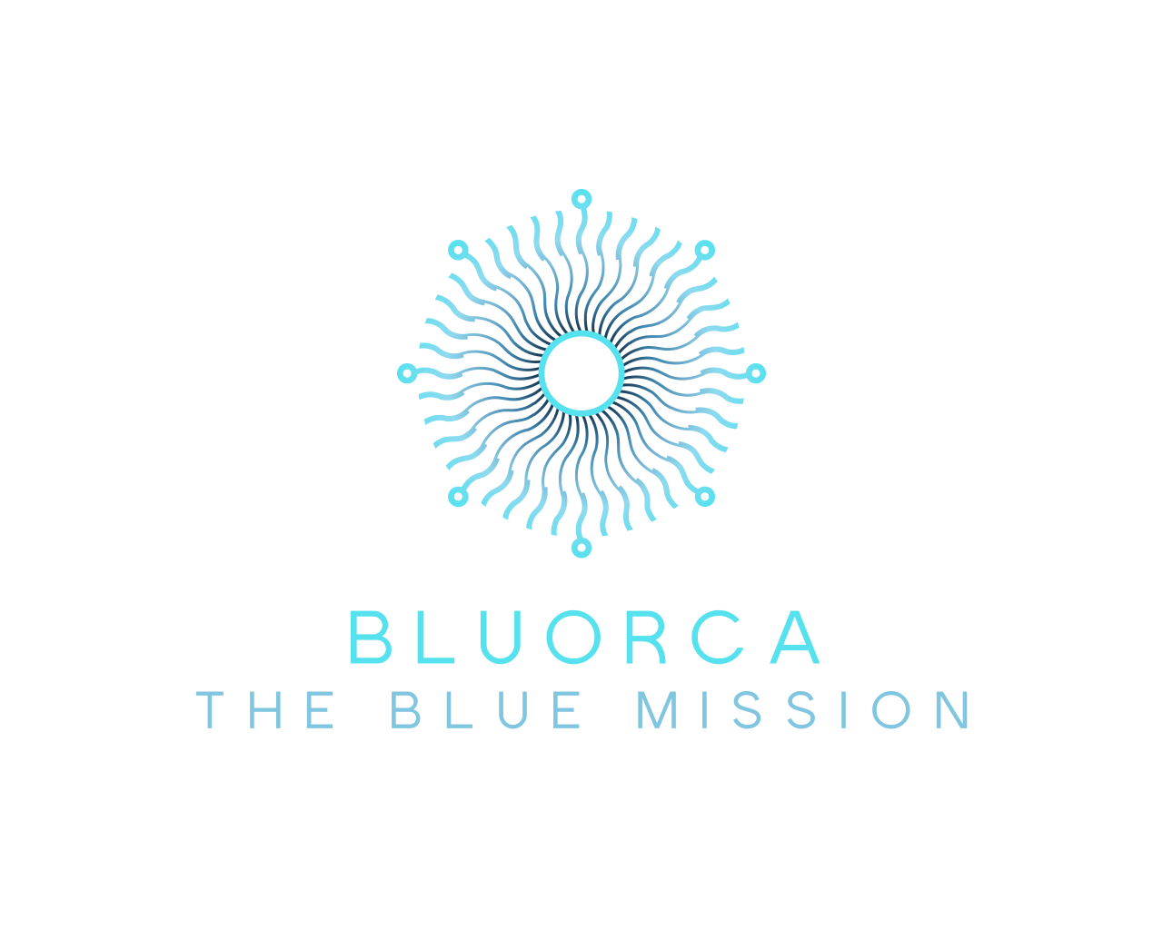 BluOrca