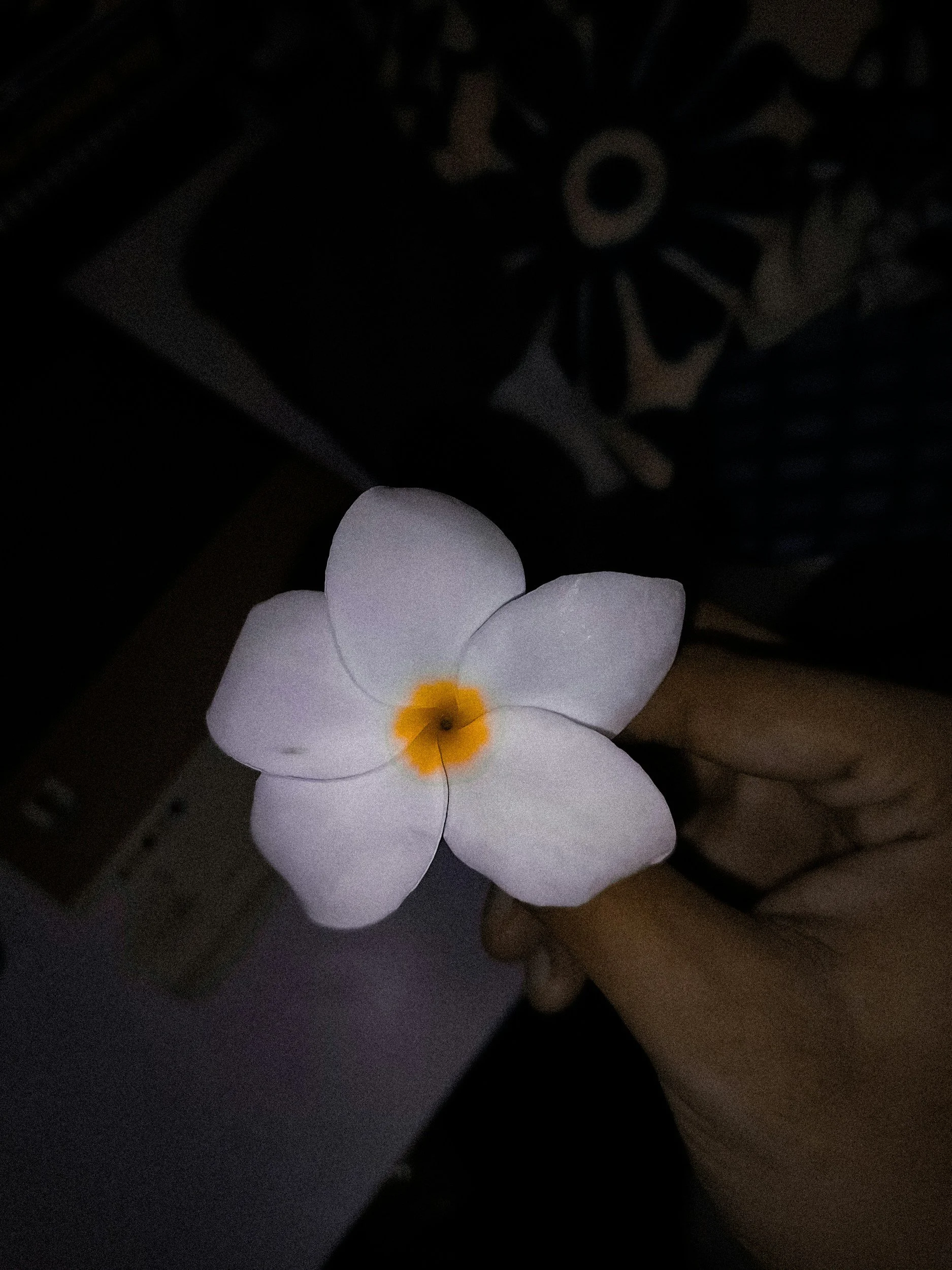 Shitflower.