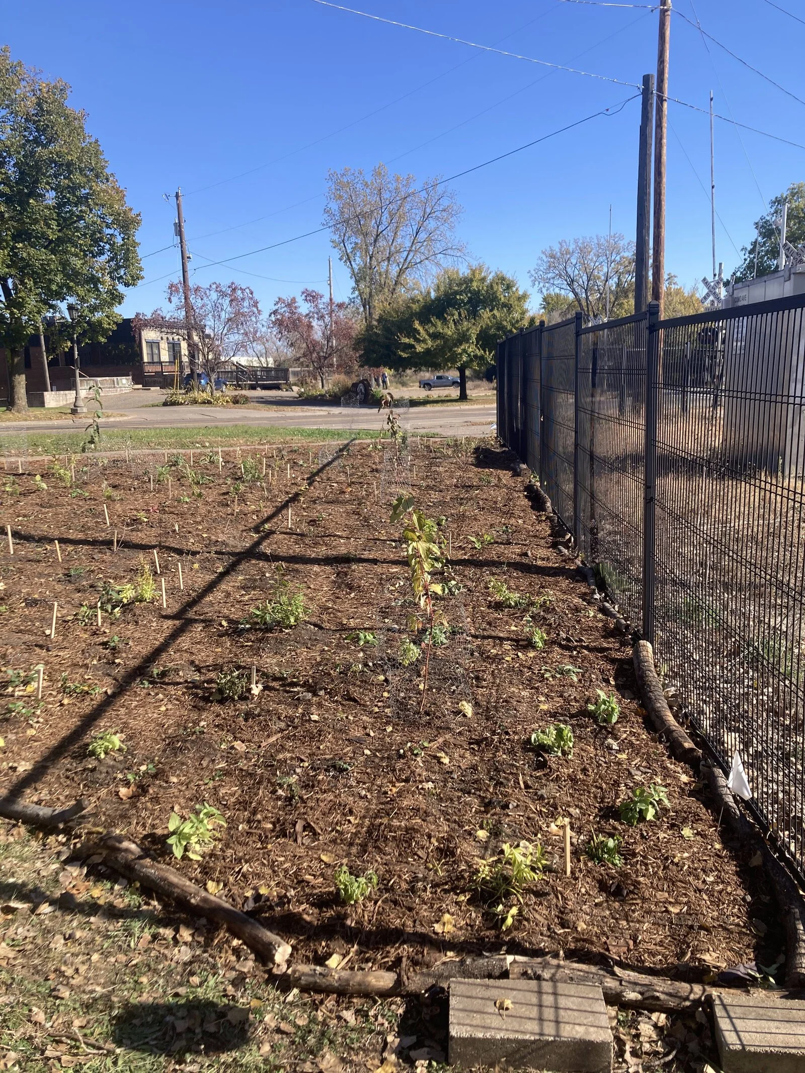 mini prairie