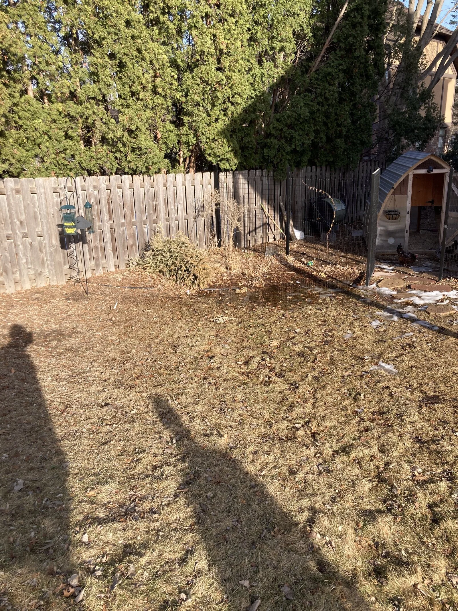 mini prairie