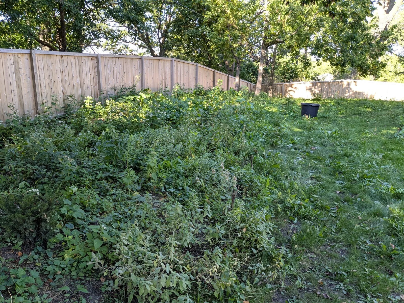 mini prairie