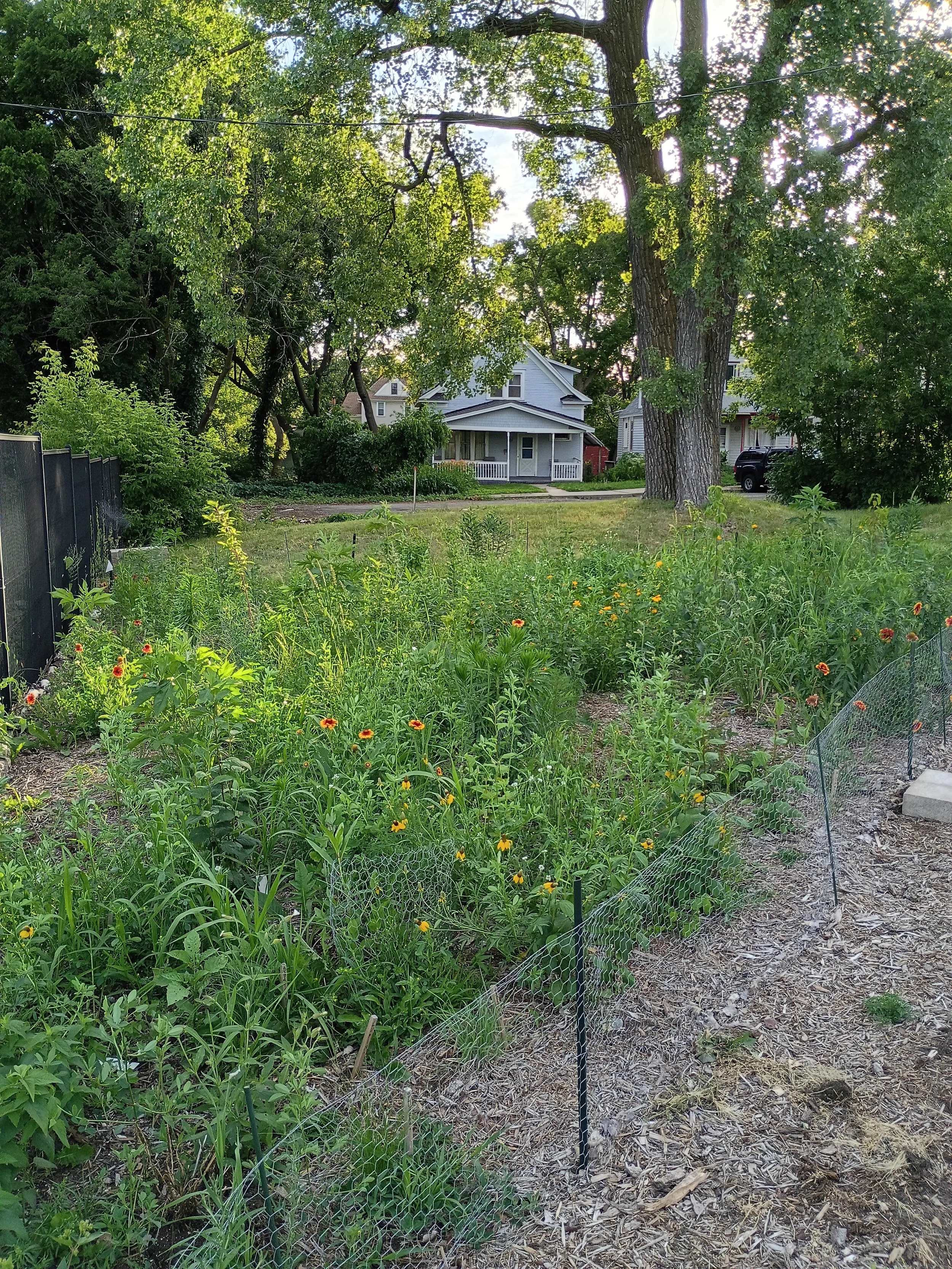 mini prairie