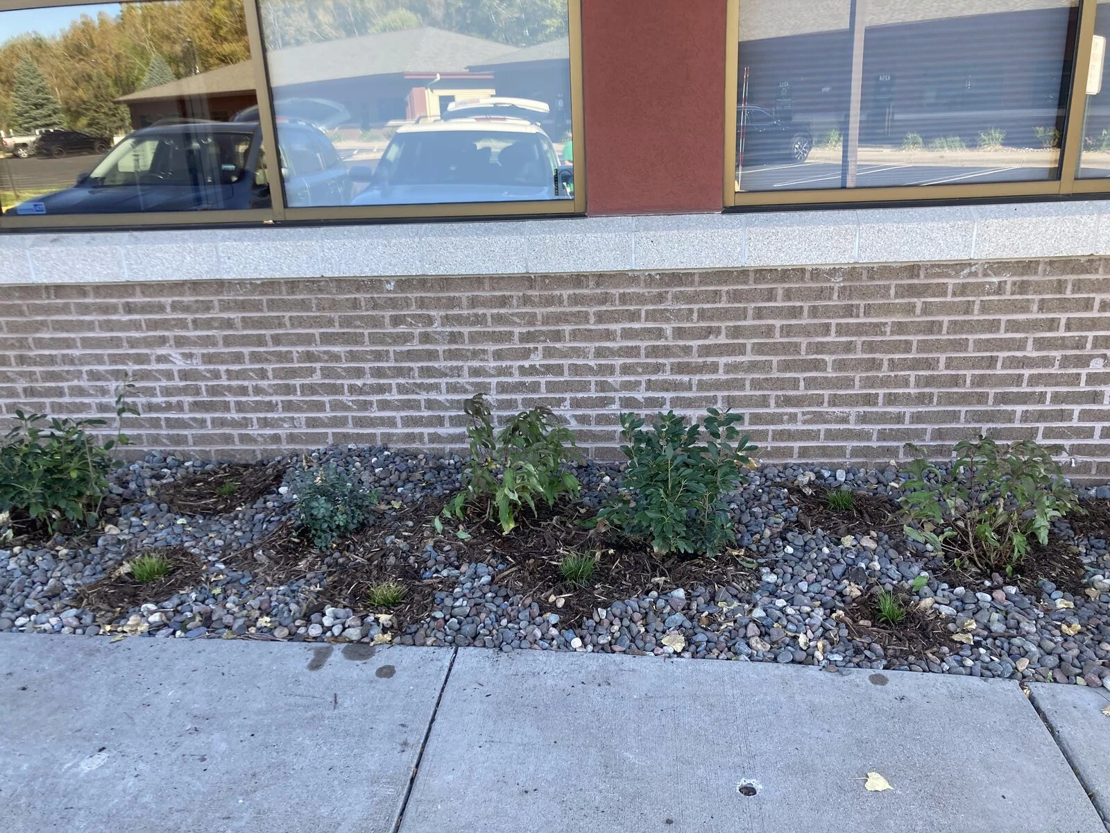 mini prairie