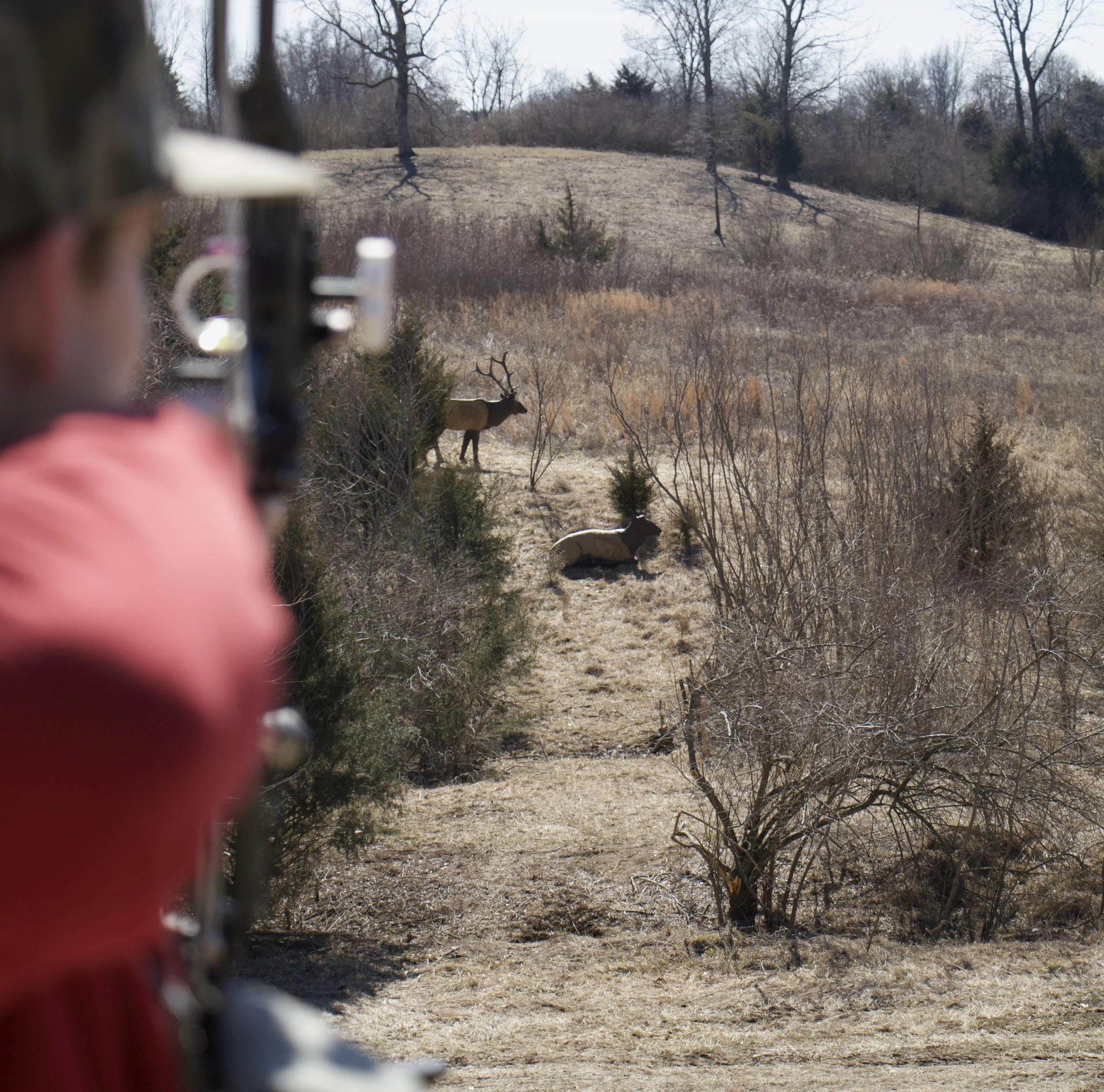 March 2026 Shoot