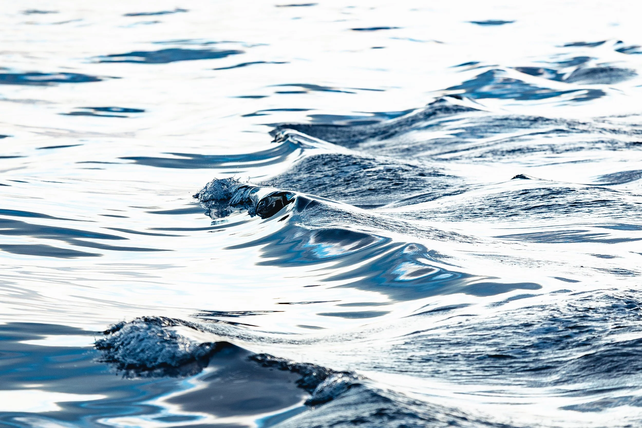 Separating Fact From Fiction on Pelagic Trawl Gear