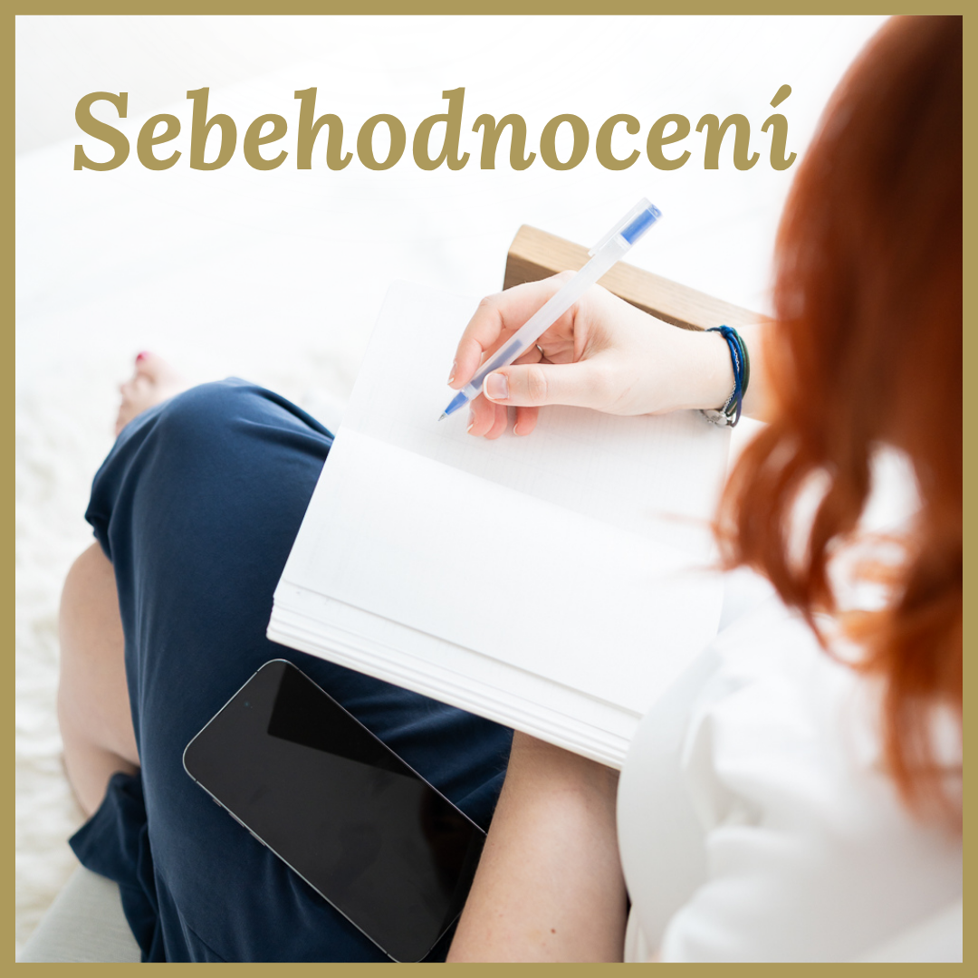 Vyplňte si sebehodnocení zdarma