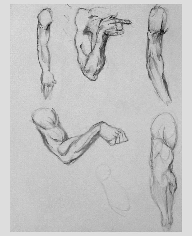 Verschillende schetsen van menselijke ledematen en lichaamsdelen, waaronder onderarmen, arm in een gebogen positie en een waar een arm naar voren wijst, getekend in potlood.