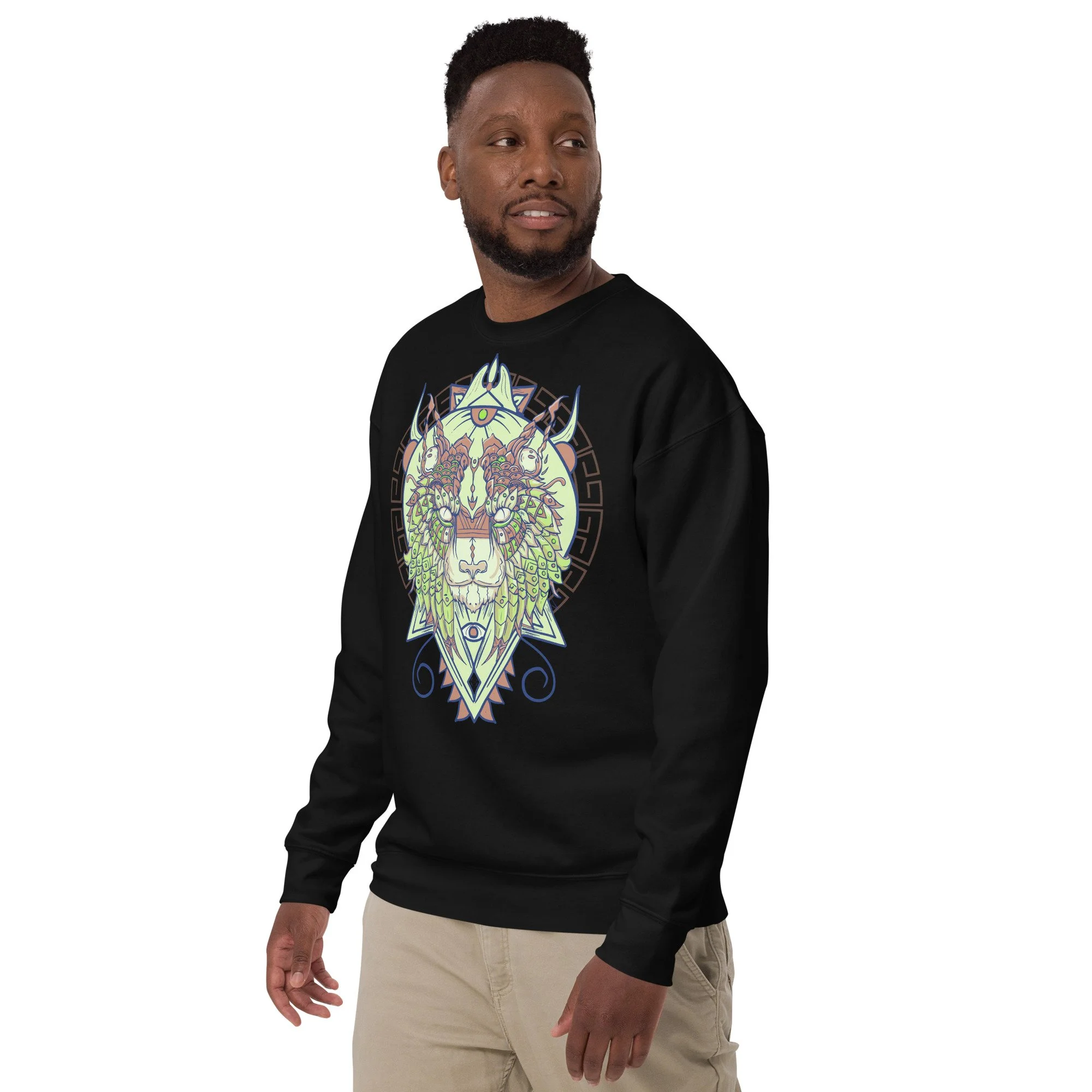 unisex-premium-sweatshirt-black-left-front-692ded3f1a9d5.jpg
