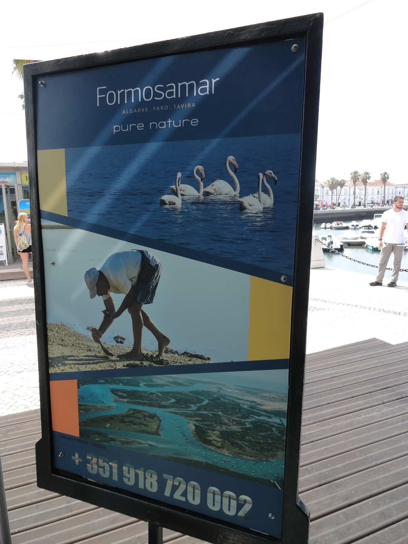 Formosamar (8)-min.jpg