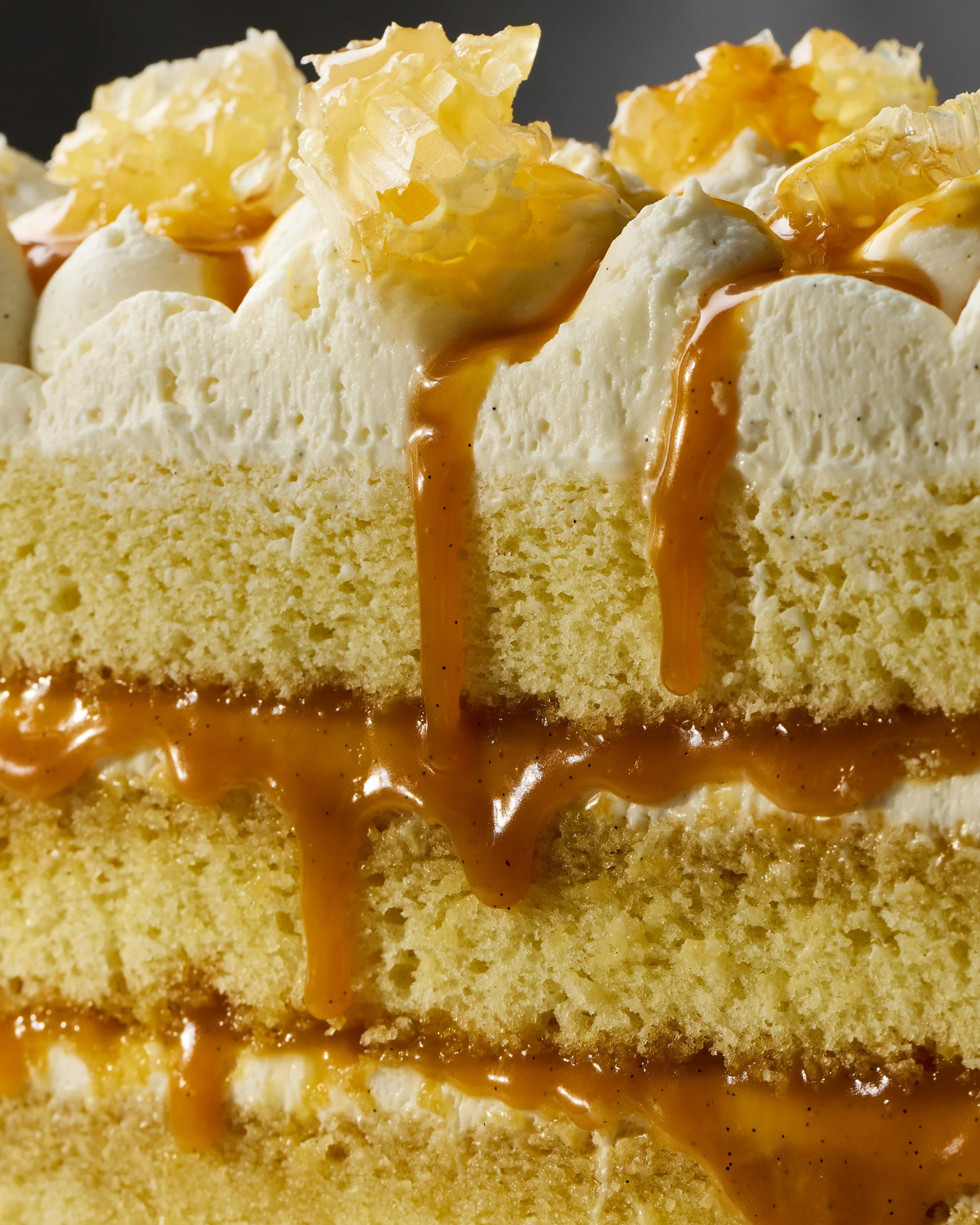 SEC7_HoneyCaramelCakeBeauty_1488.jpg
