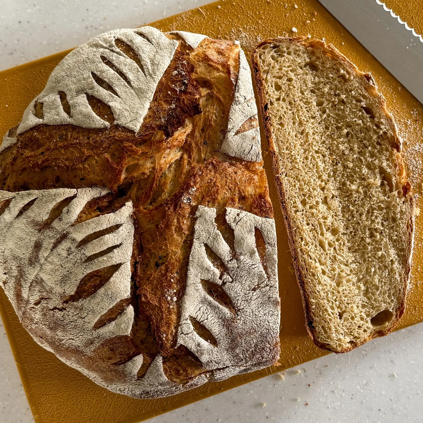 Cottage Cheese Bread (on the grill or the oven)