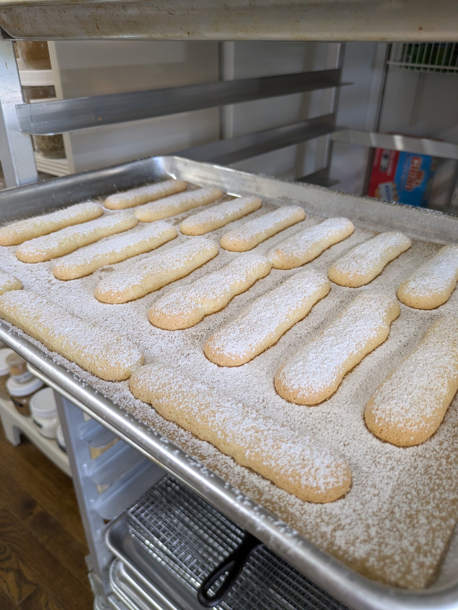 A tray of powdered sugar dusted ladyfingers lined up in rows on a baking sheet.