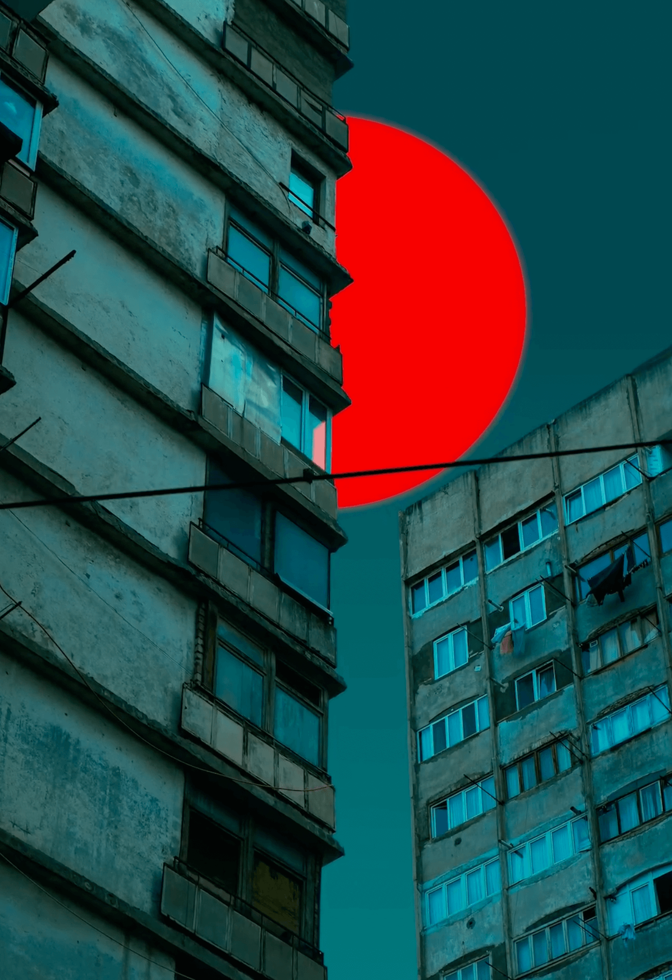 Screen Shot 2024-08-01 at 4.38.06 PM.png