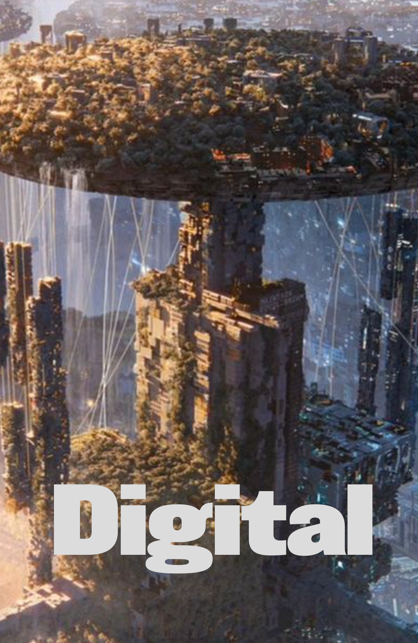 digital image.png