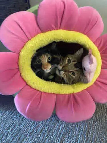 1 (1).jpg