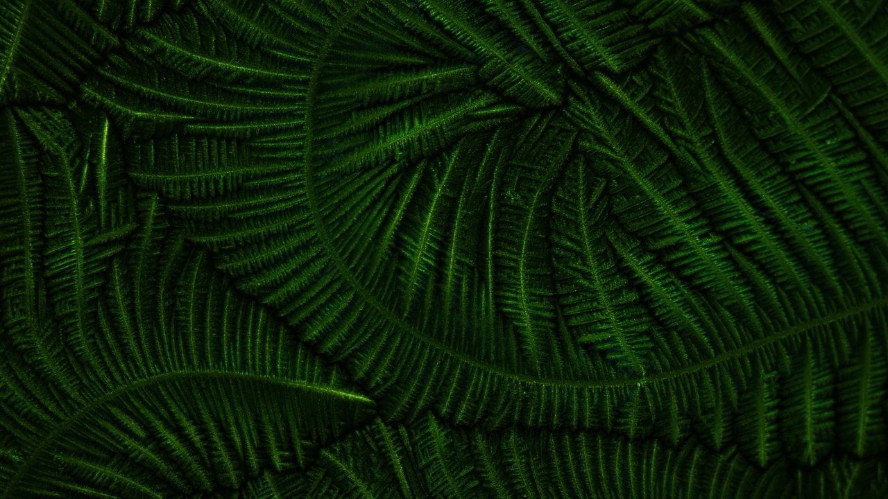 Home-Background.jpg
