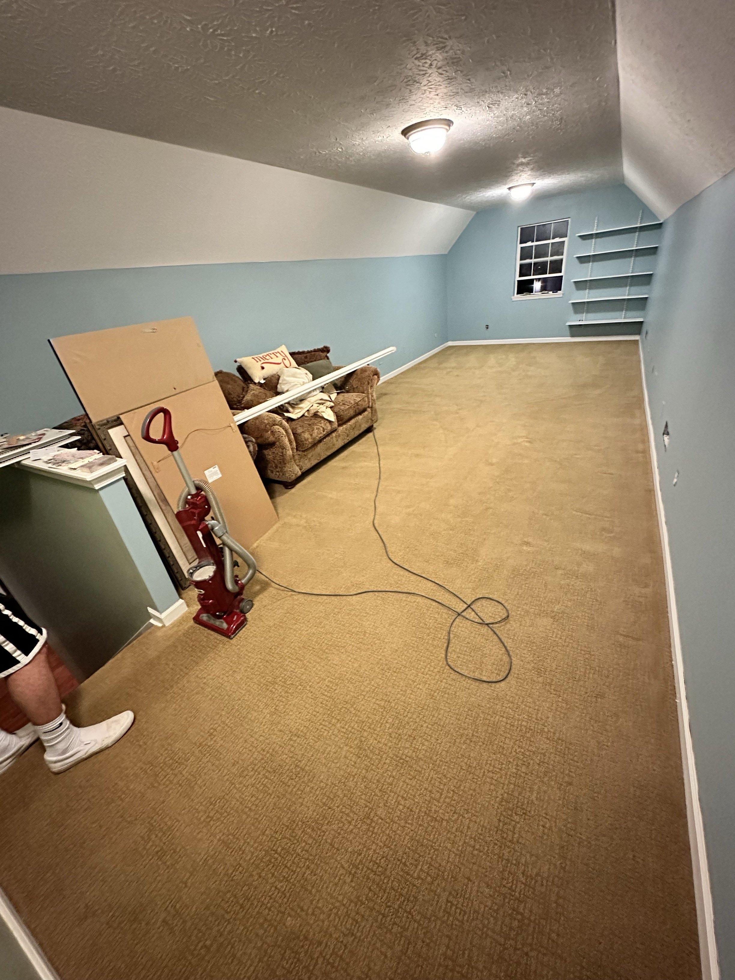 after carpet clean and painting walls