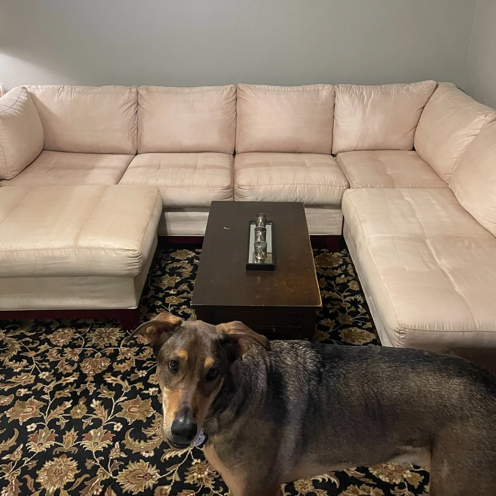 after deep cleaning couch