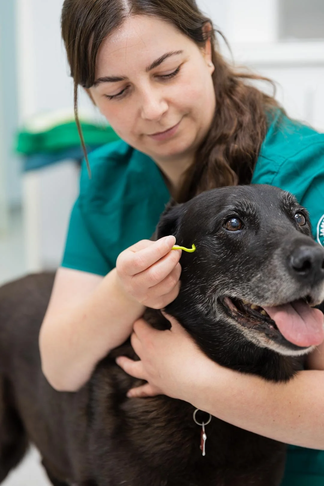 James Horner Vets - Matt Madden Photography-43.jpg