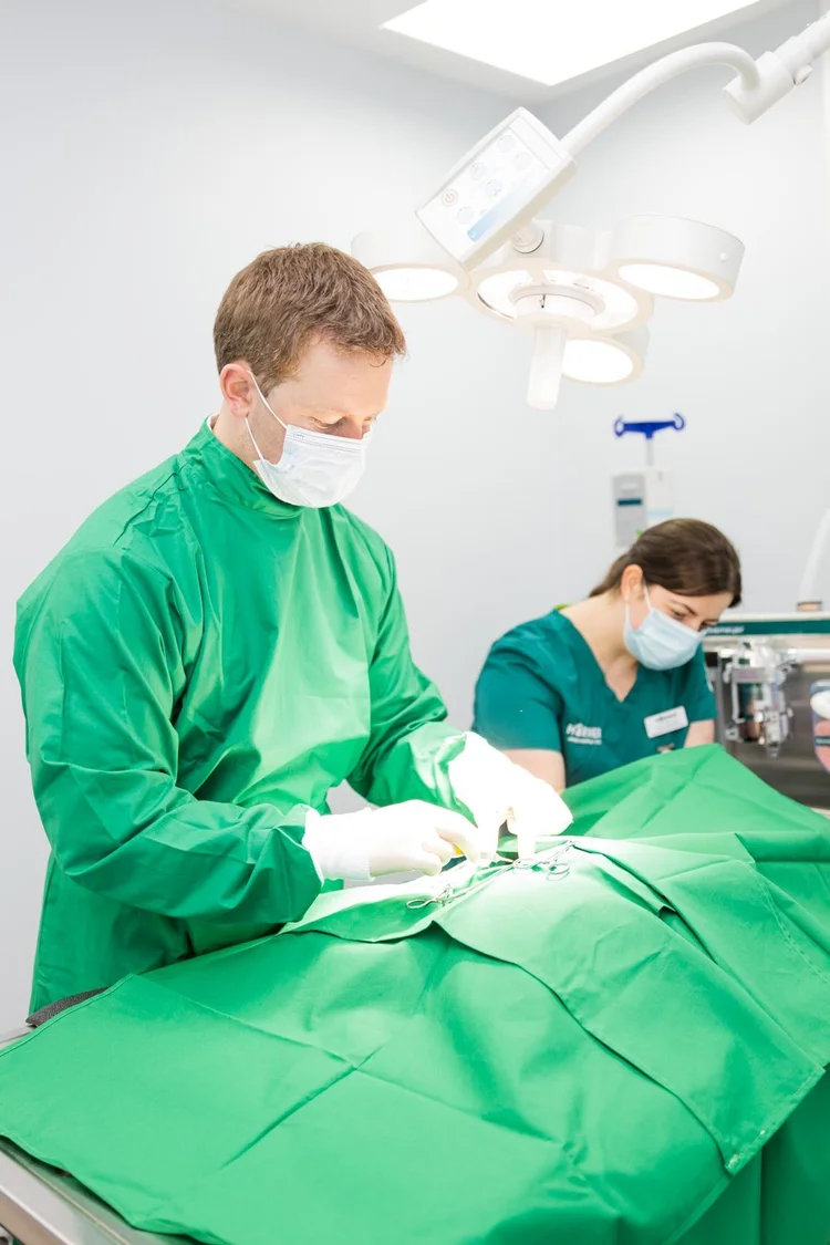 Veterinary photography by Heedly