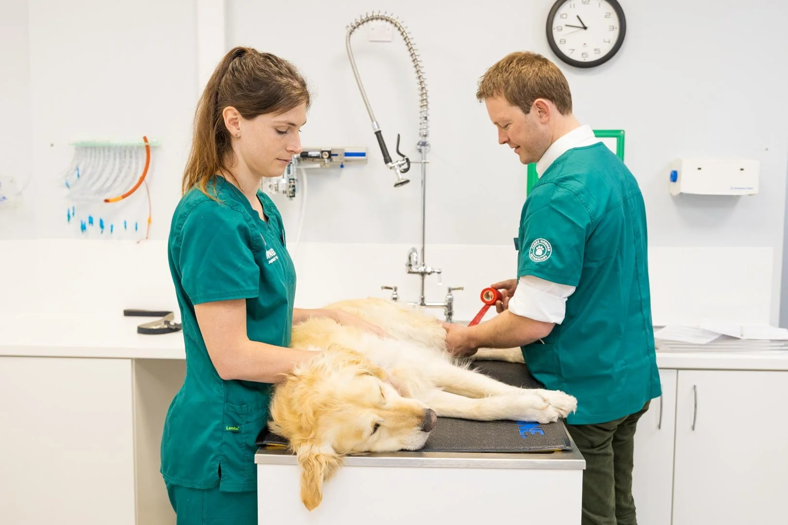 James Horner Vets - Matt Madden Photography-79.jpg