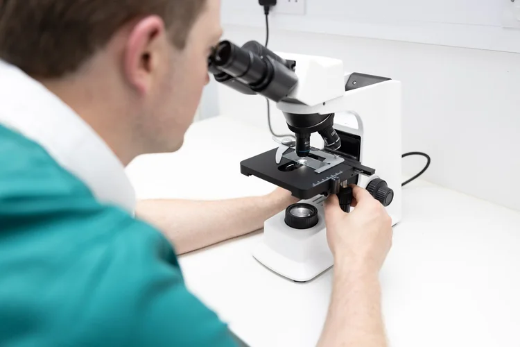 Veterinary photography by Heedly