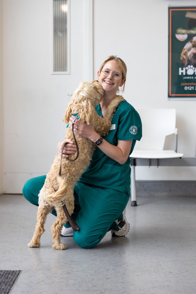 Veterinary photography by Heedly