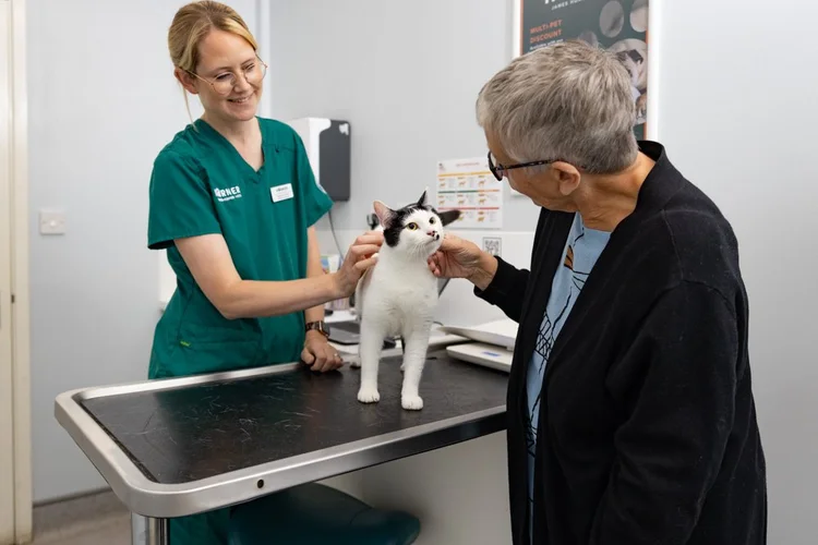 Veterinary photography by Heedly